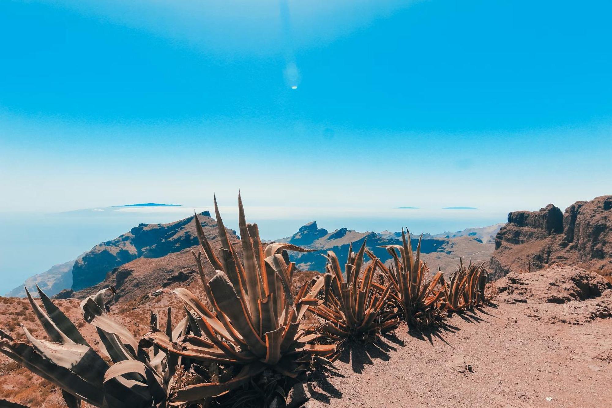 New In Tenerife * Costa Del Silencio