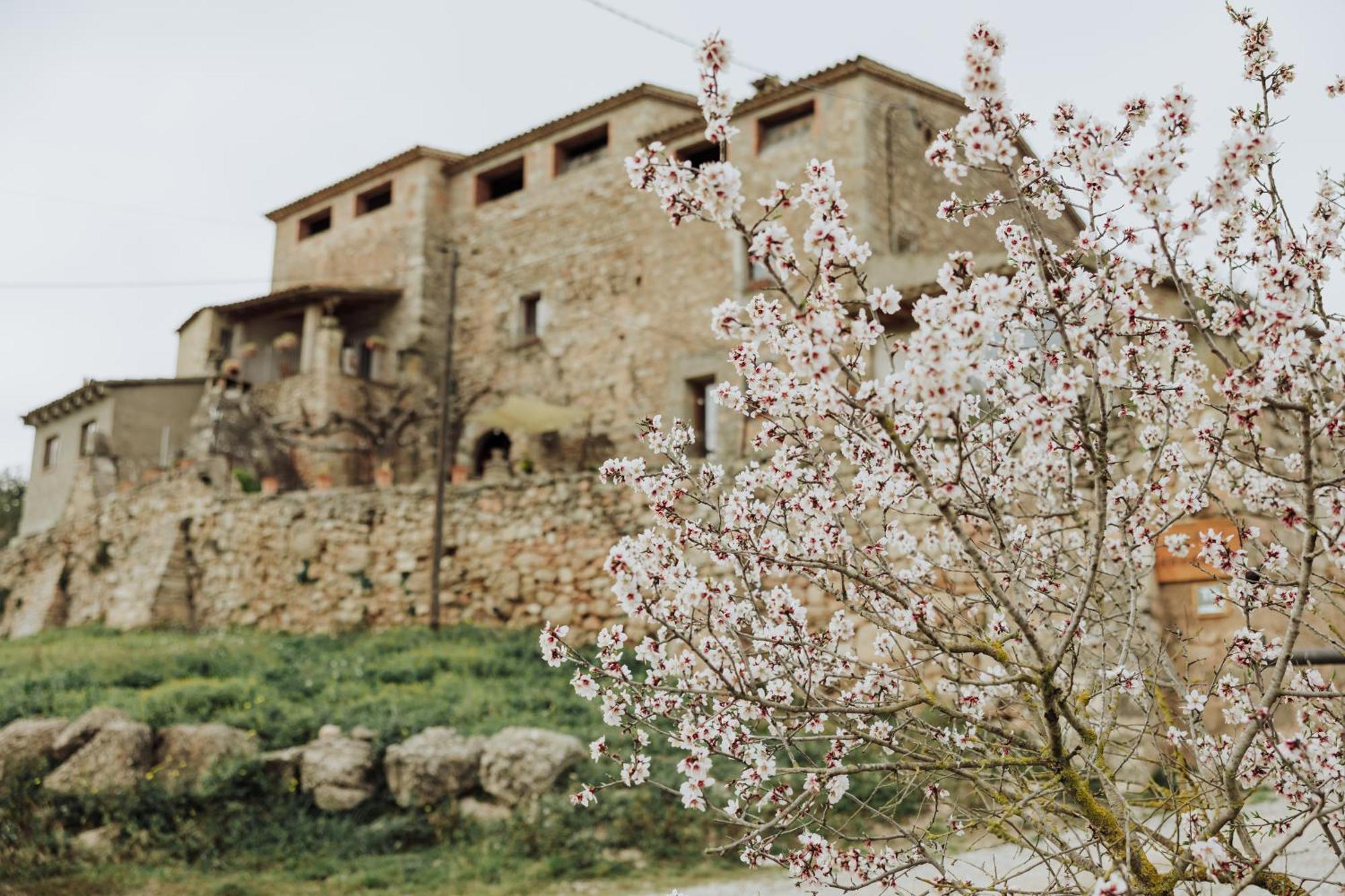 Bed & Breakfast Masia Aubareda