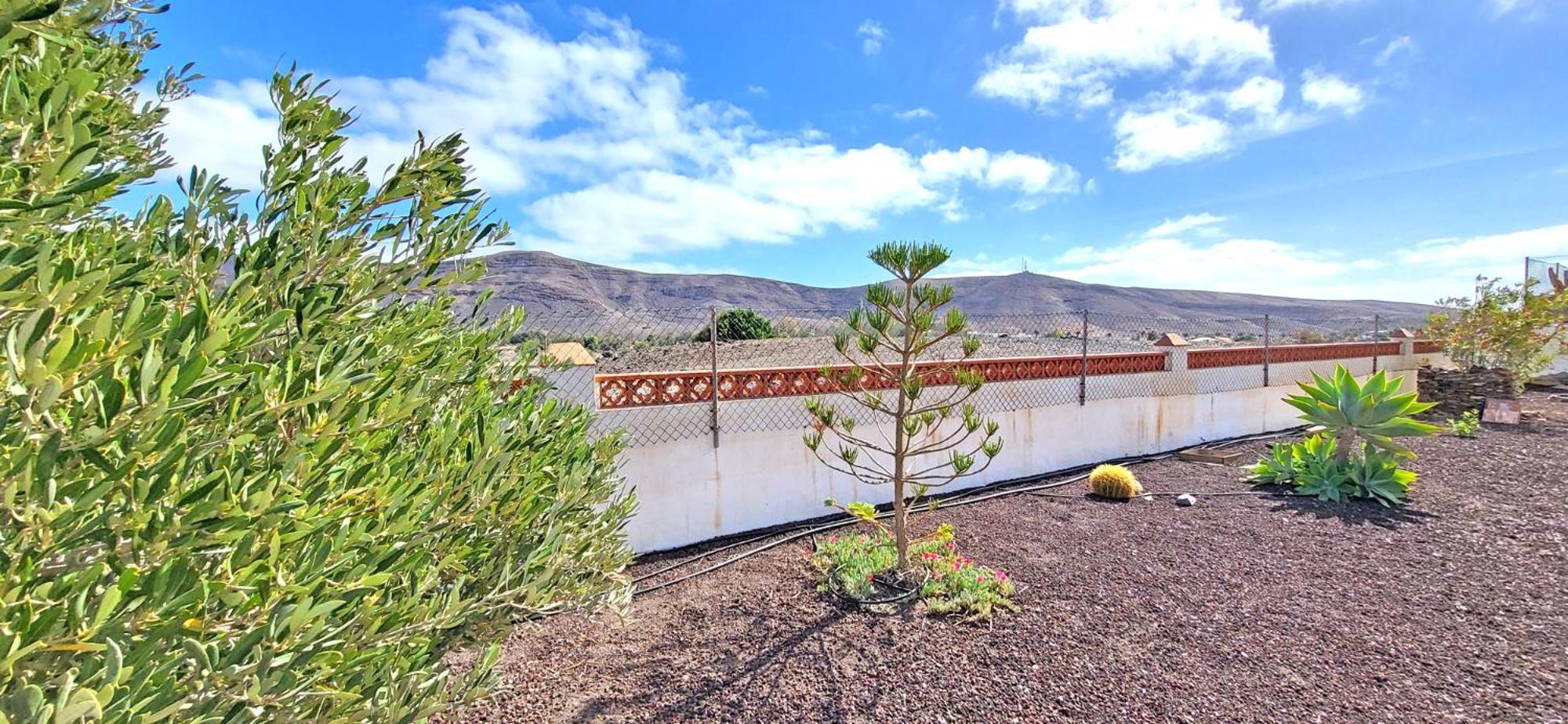 Casa Regia, Tarajalejo, Garten, 3 Sz, Klima Tarajalejo