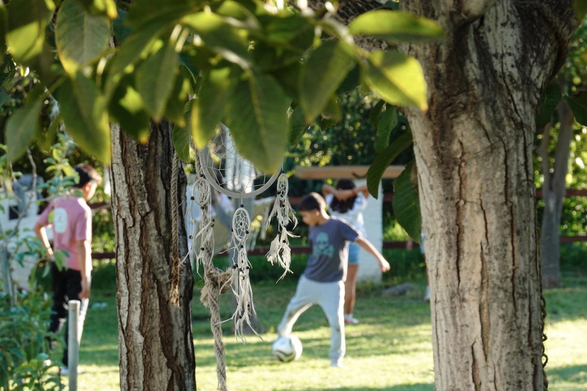 Hotel Taray Botanico 3*
