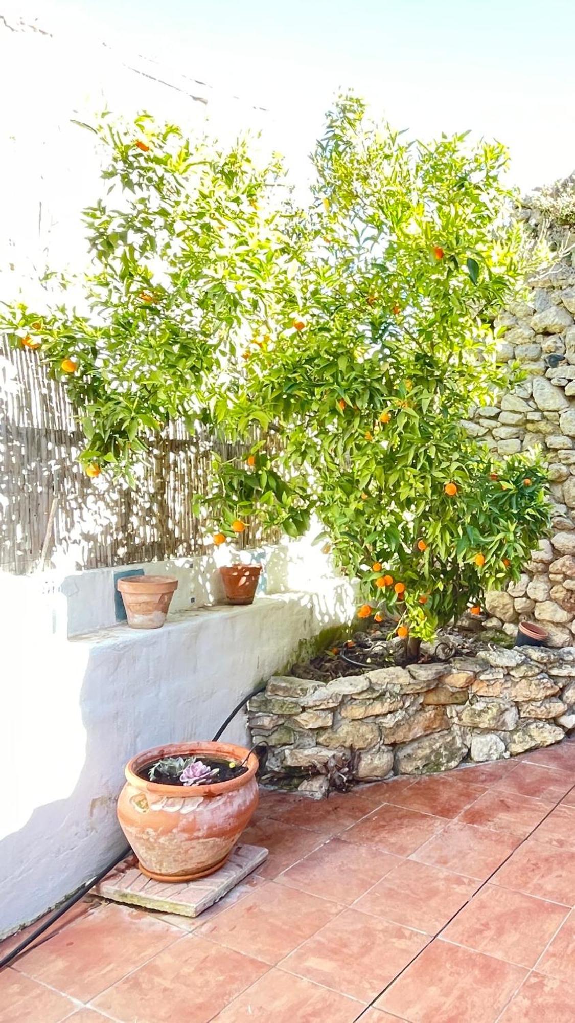Casa Mandarina * Alhama de Granada