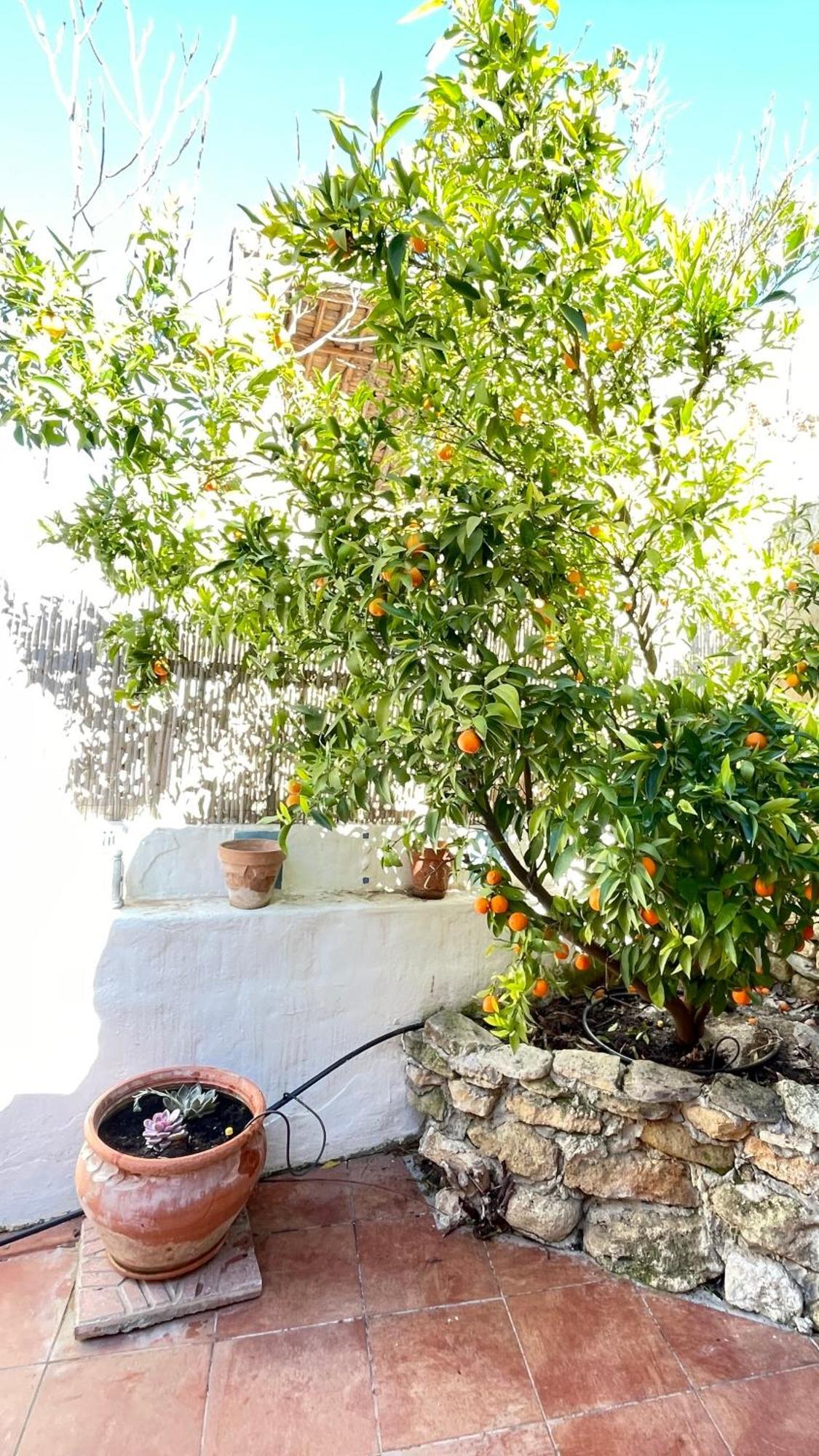 Сasa de vacaciones Casa Mandarina *
