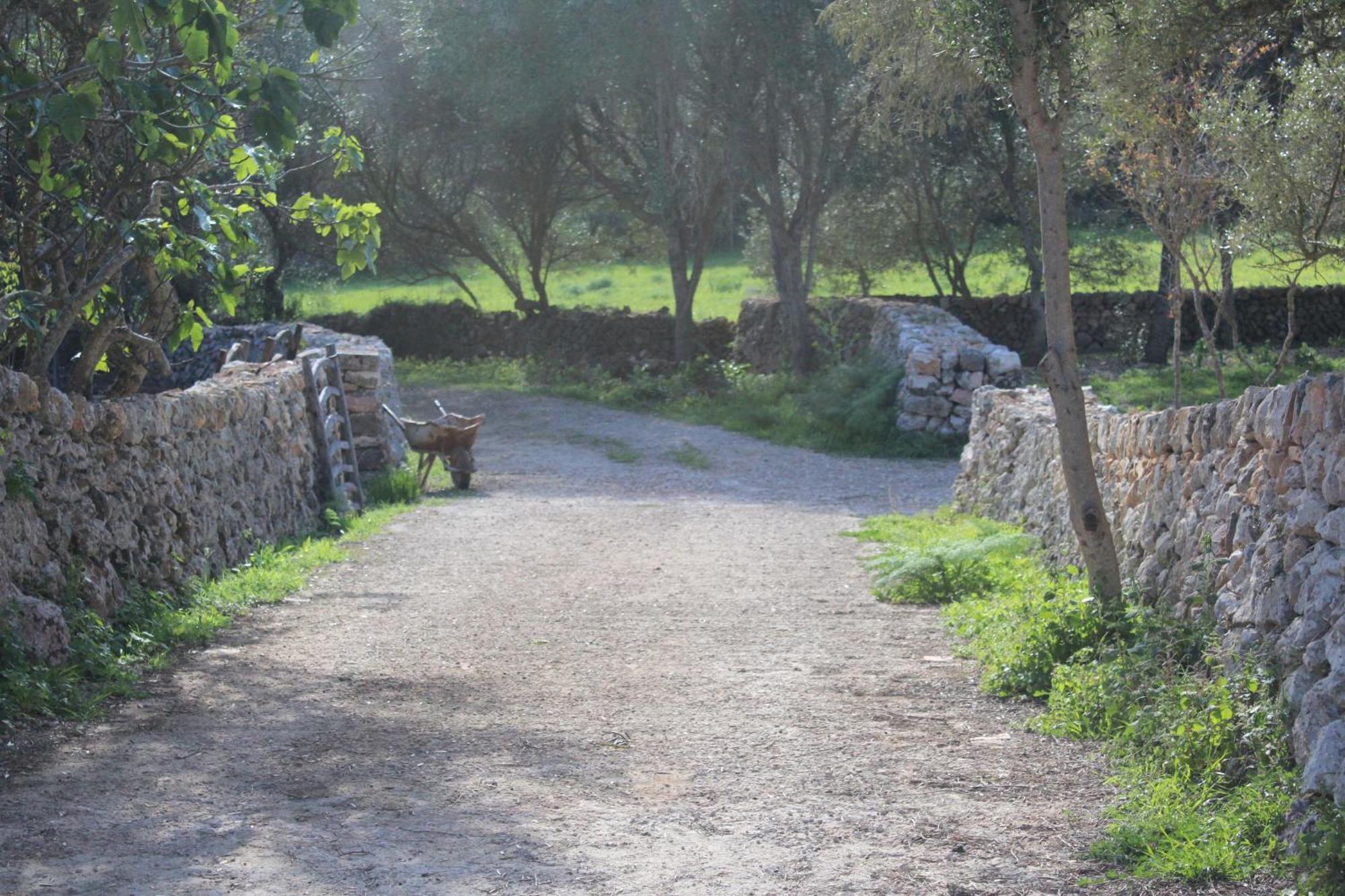 Farm stay Santa Mariana *