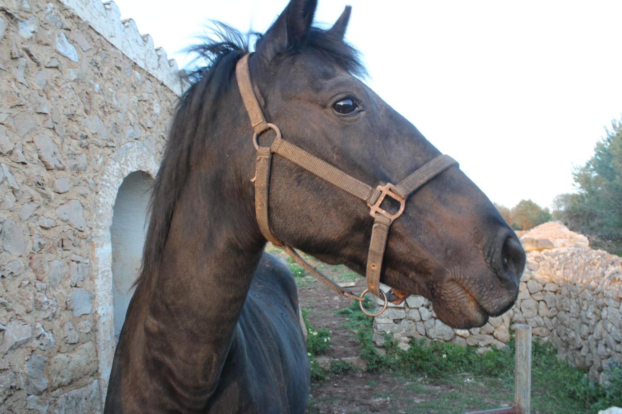 Farm stay Santa Mariana