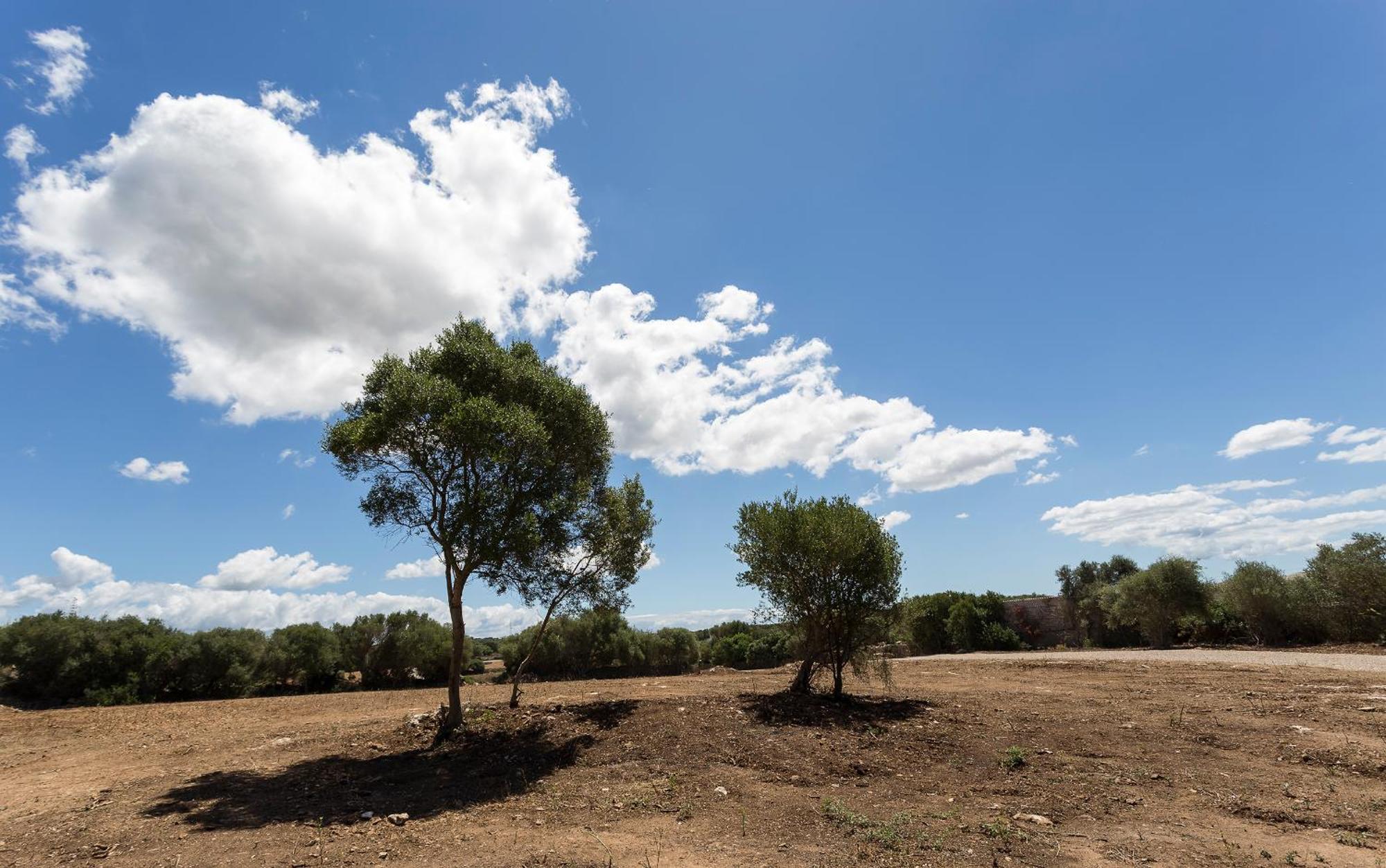 Santa Mariana Farm stay