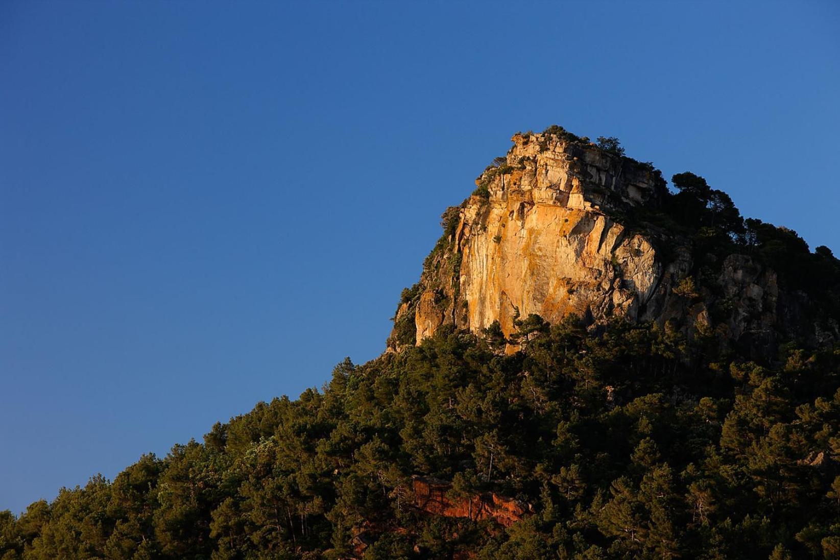 Foina Dels Fontanals Falset