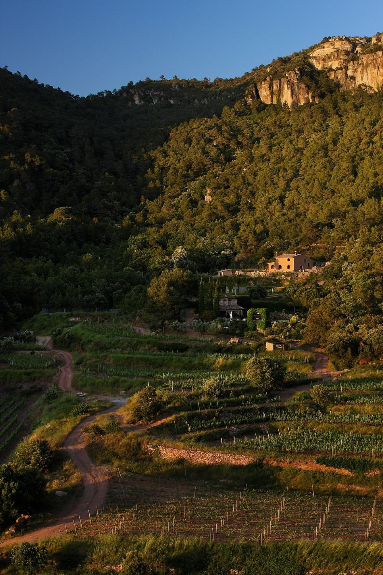 Foina Dels Fontanals Falset