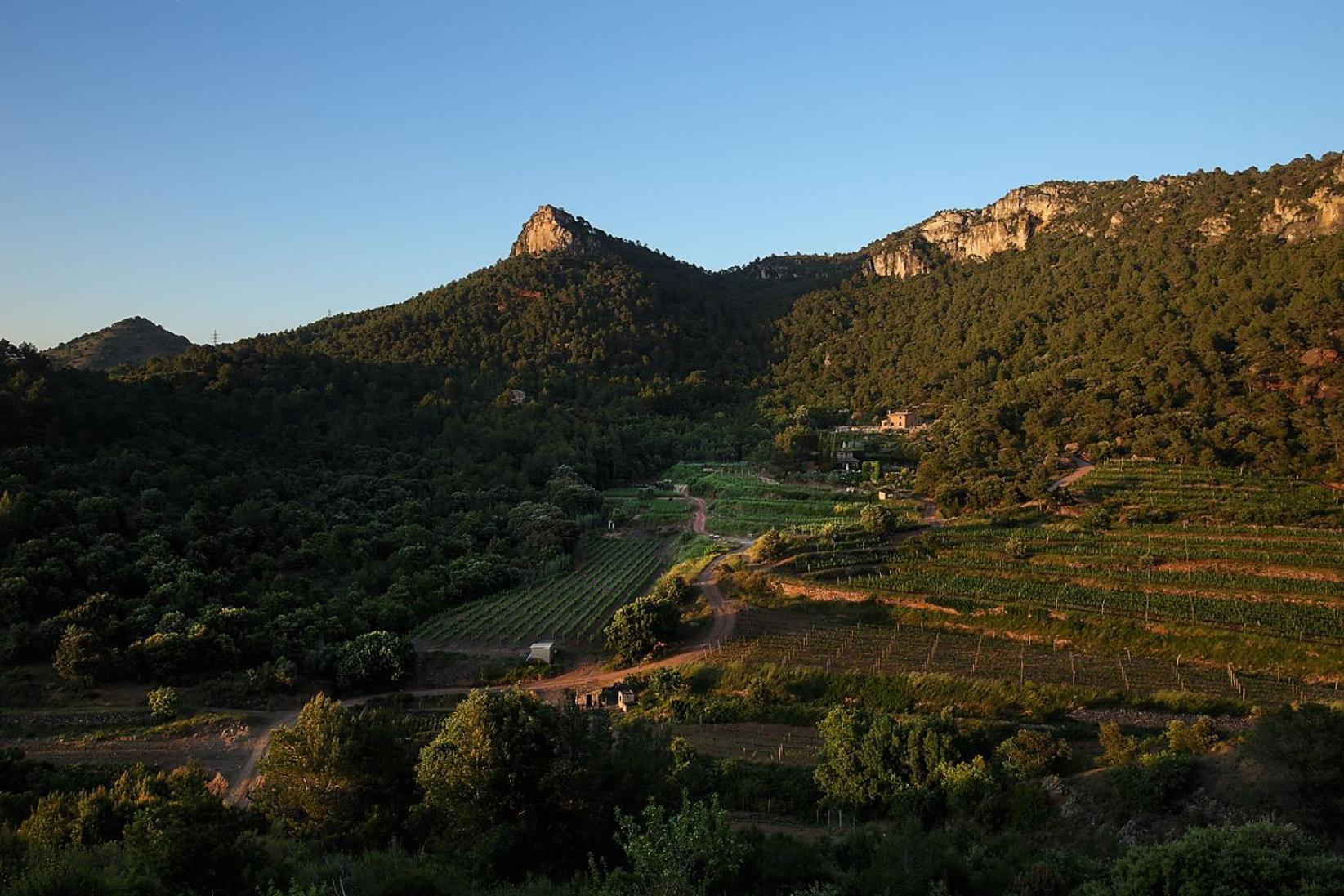 Foina Dels Fontanals