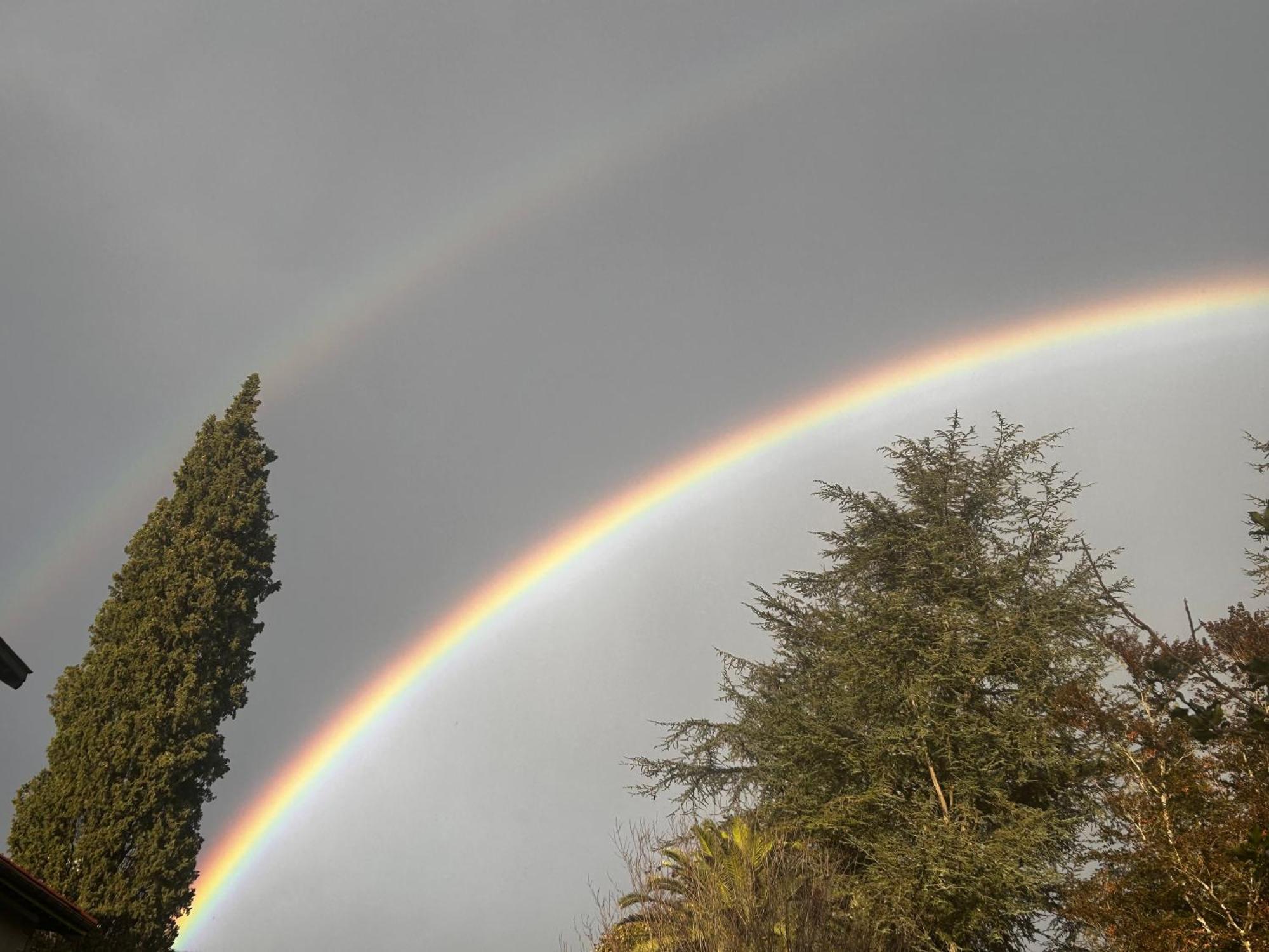 Lekuona *