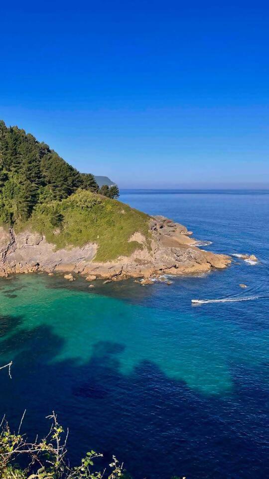 Artegoikoaurdaibai Patrimonio De La Unesco *