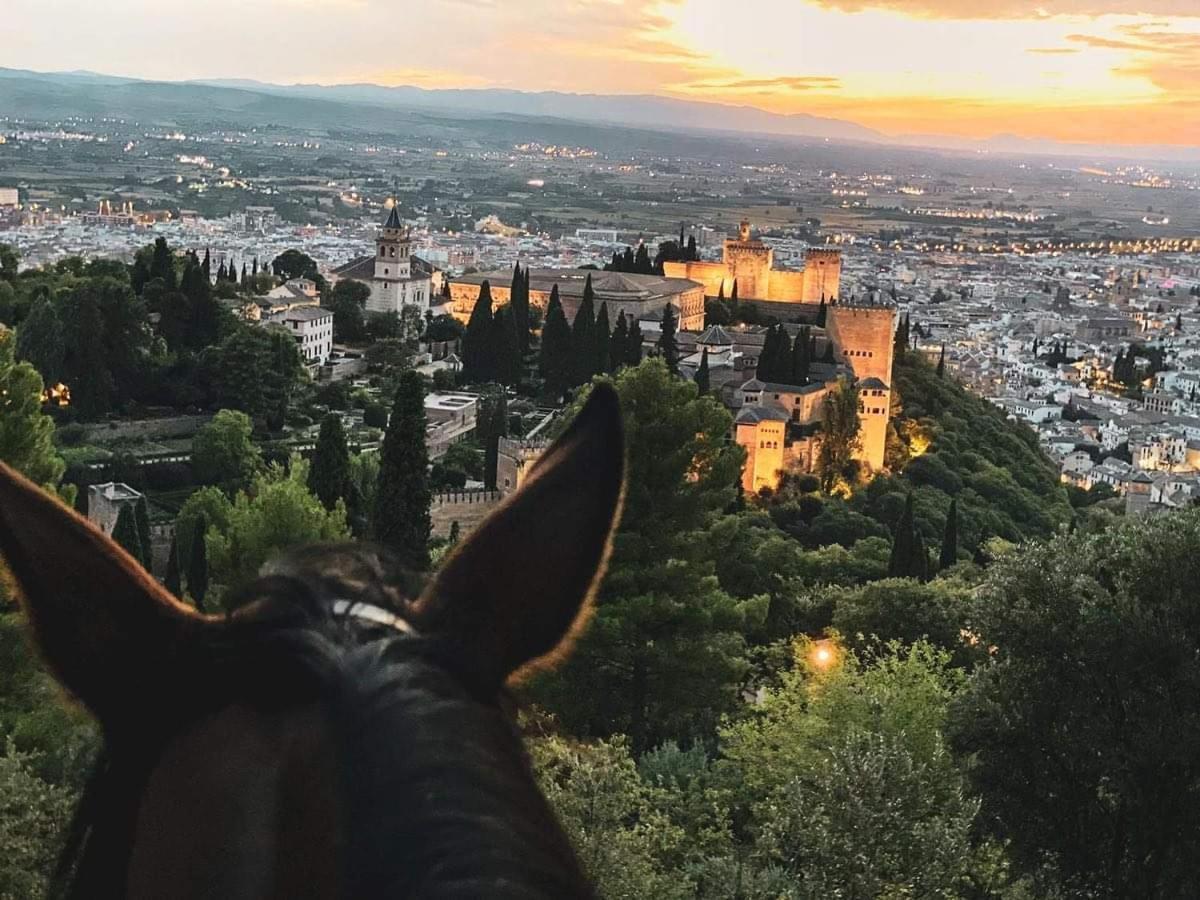 Mil Y Noche De Estrellas, Atico En Granada Apartamento