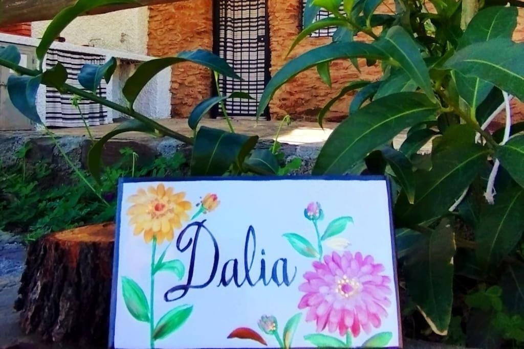 Paraje La Suerte Dalia Apartamento