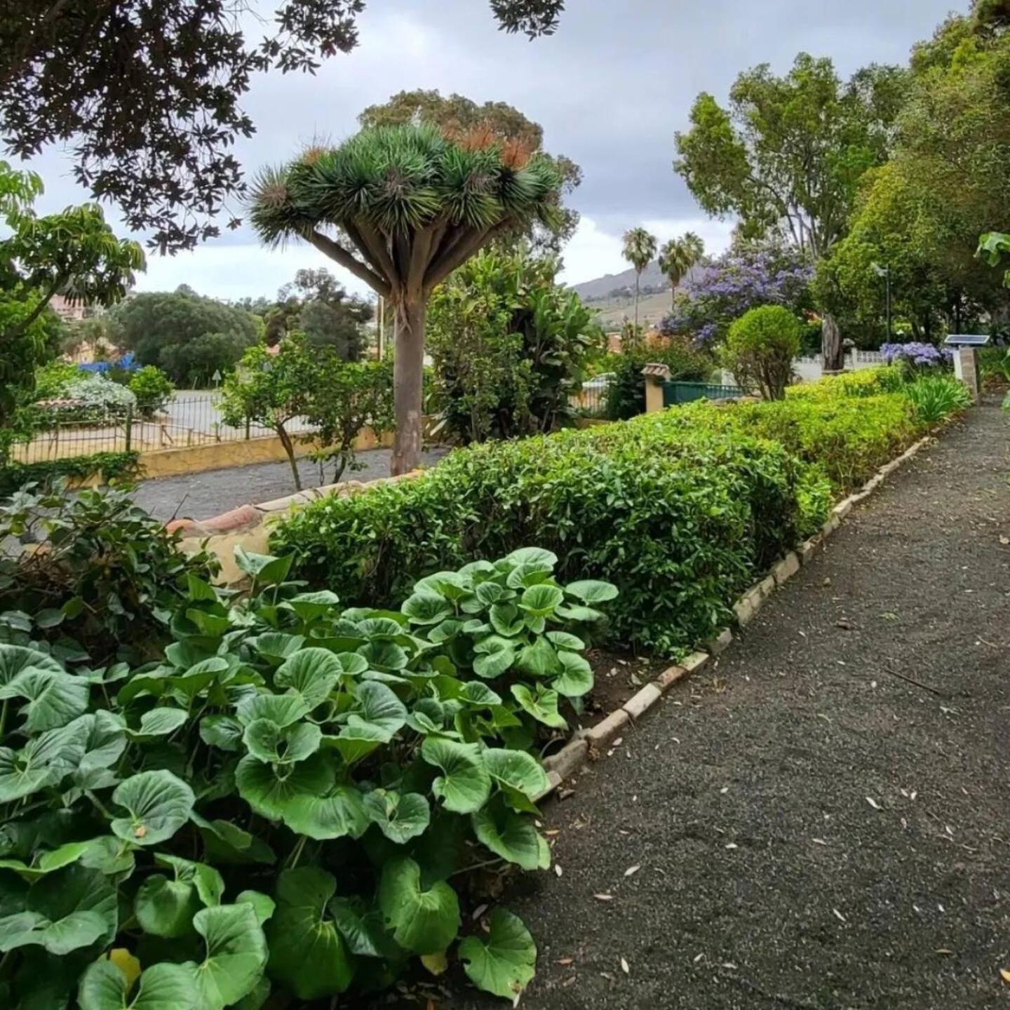Country house El Batan