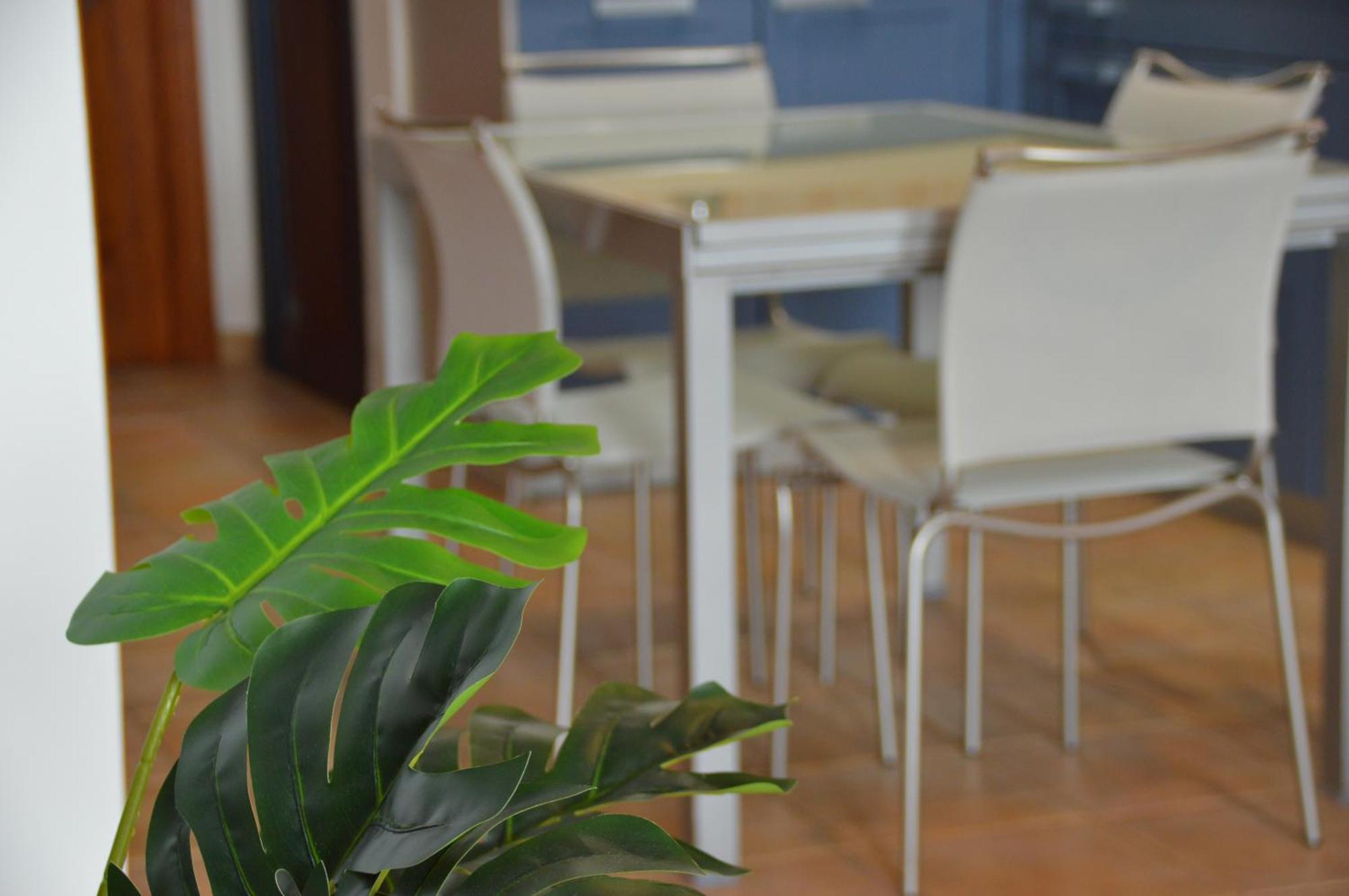 Сasa de vacaciones Oasis A 20 M De La Playa