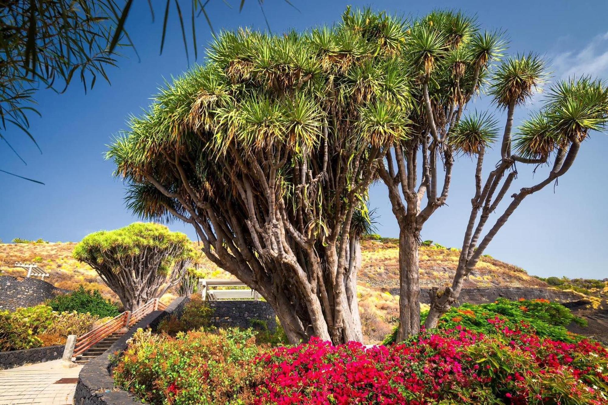 Casa Lucia Сasa de vacaciones Breña Baja