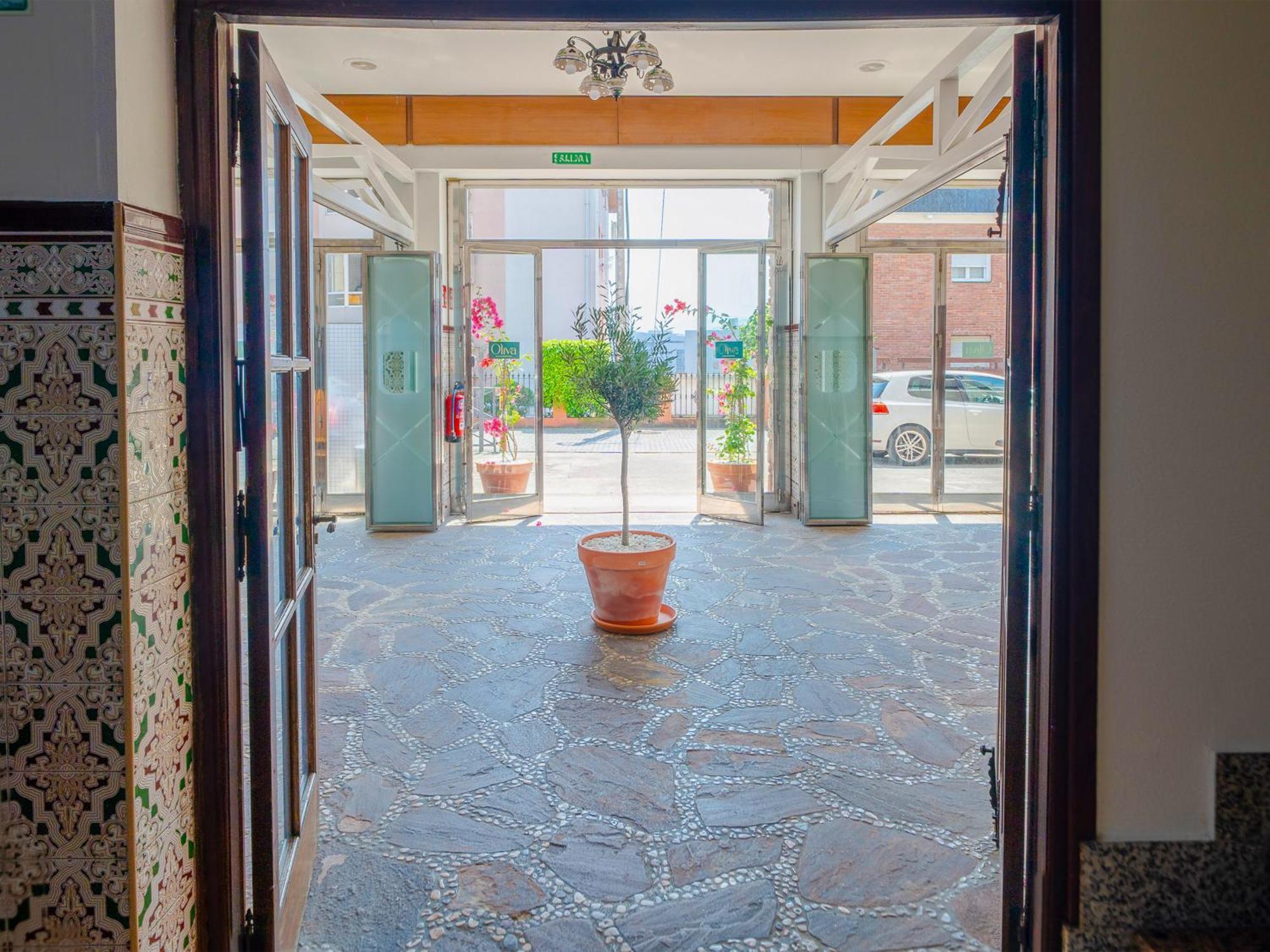 Oliva 3000 Guest house *