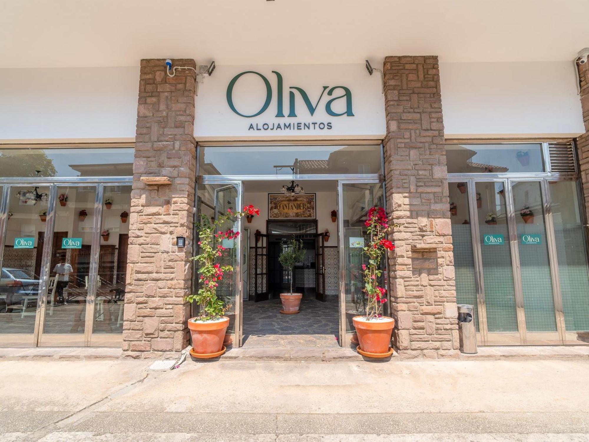 Oliva 3000 Guest house