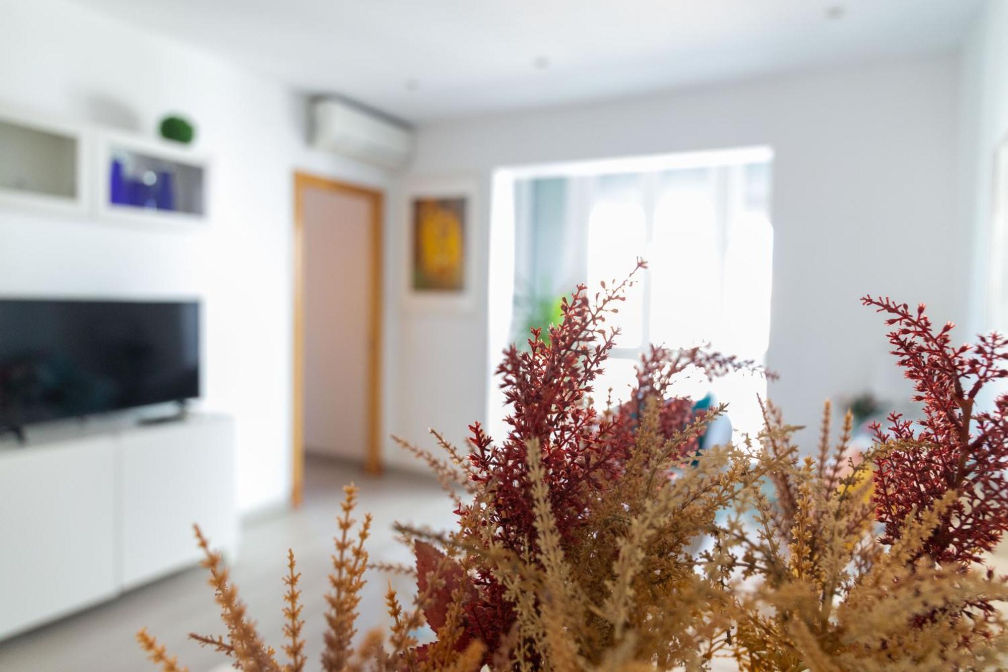Apartamento El Embrujo De La Caleta Ha Cádiz