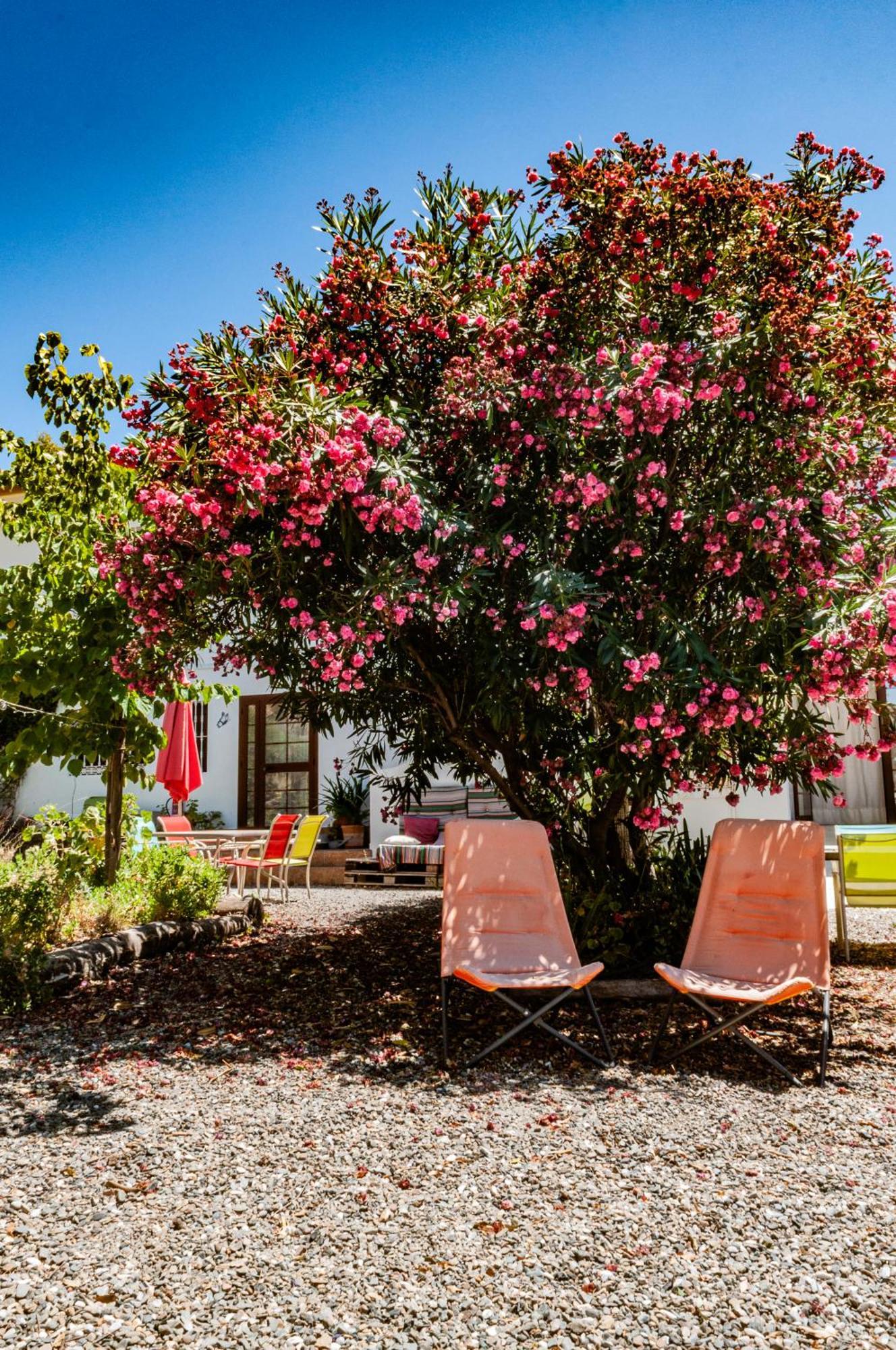 Aparthotel Nido Aguila Blanca *