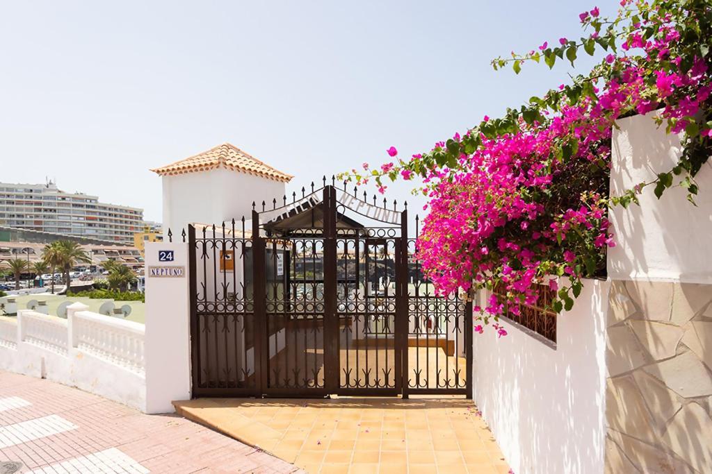 128 Neptuno Ocean Experience By Suneyrents * Puerto de Santiago (Tenerife)