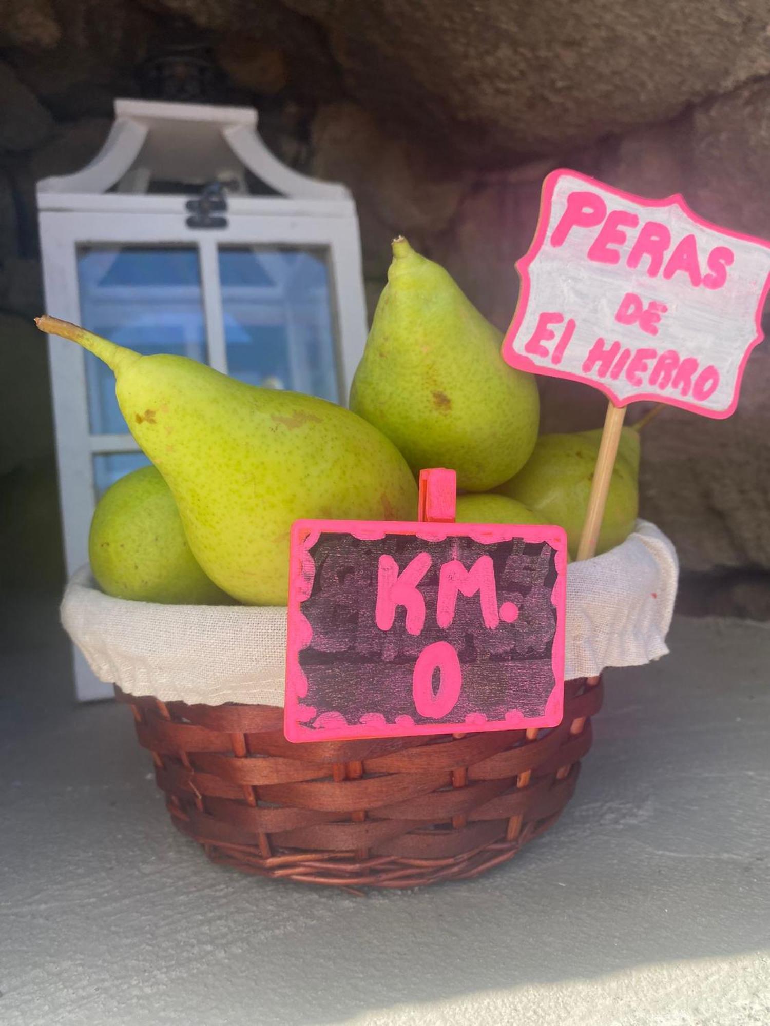 Geko Los Llanillos