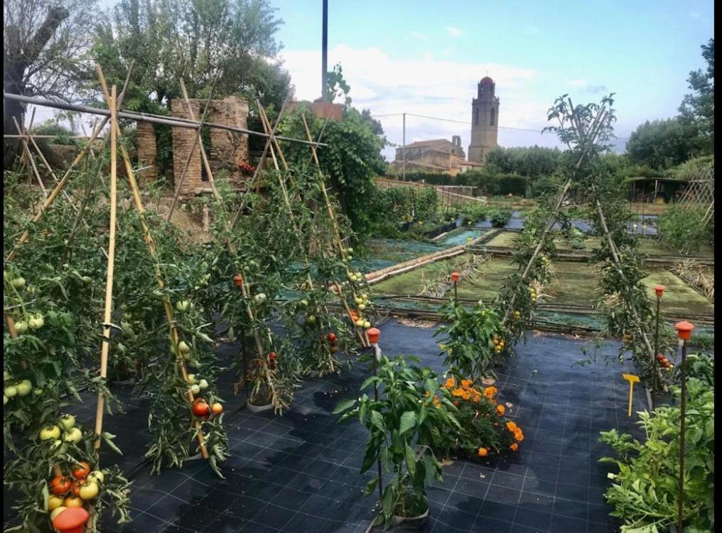 Renovated Barn With Garden And Pool - For 8 Corsa