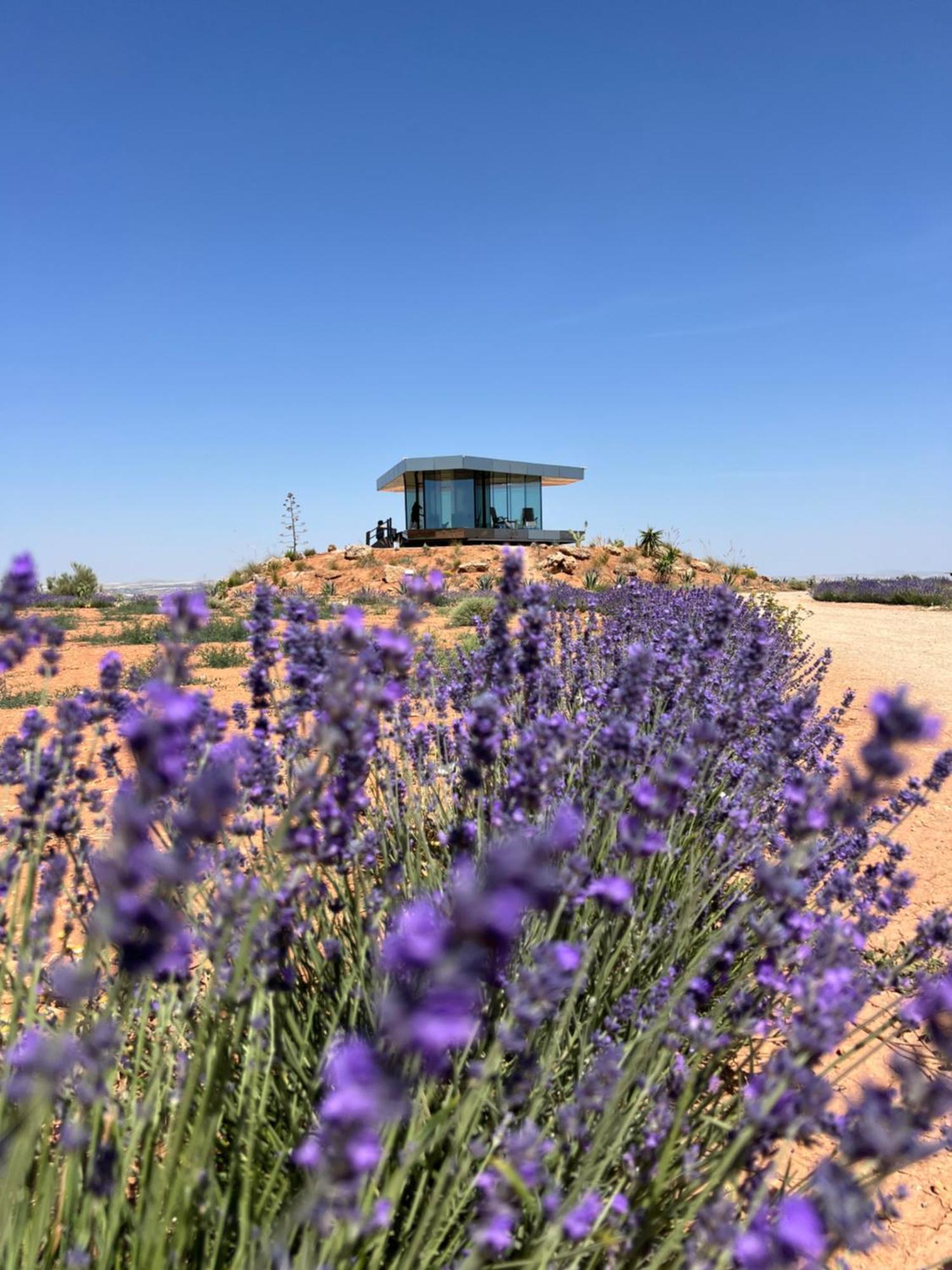 Holiday home La Casa Del Desierto *
