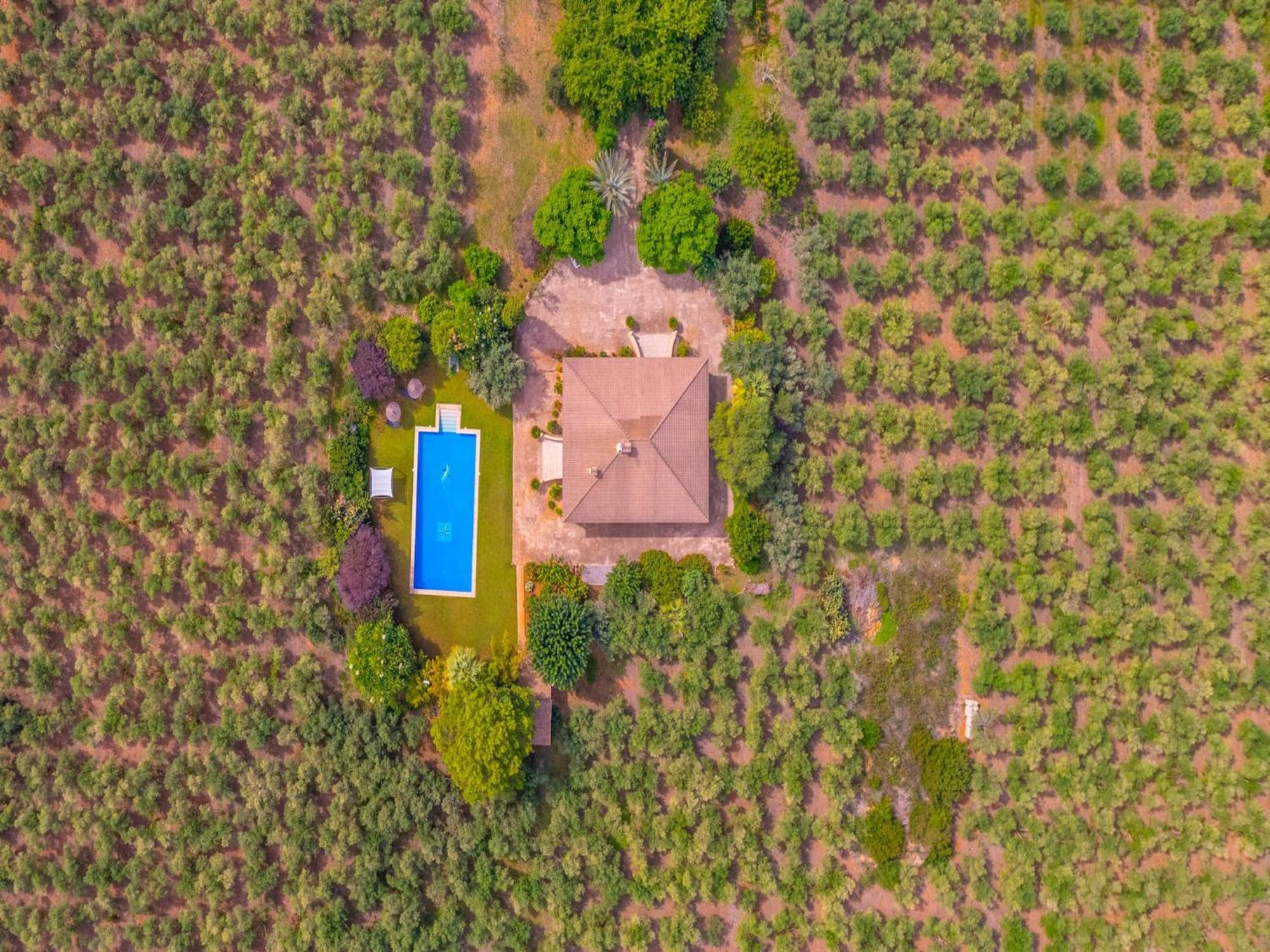 Near Platja De Muro Villa
