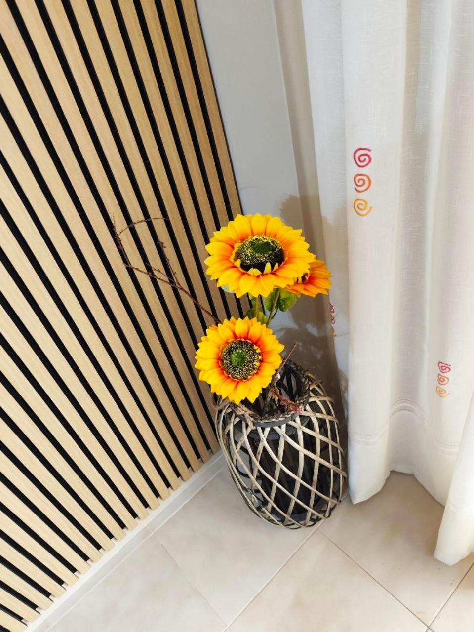Apartamento Comfy In