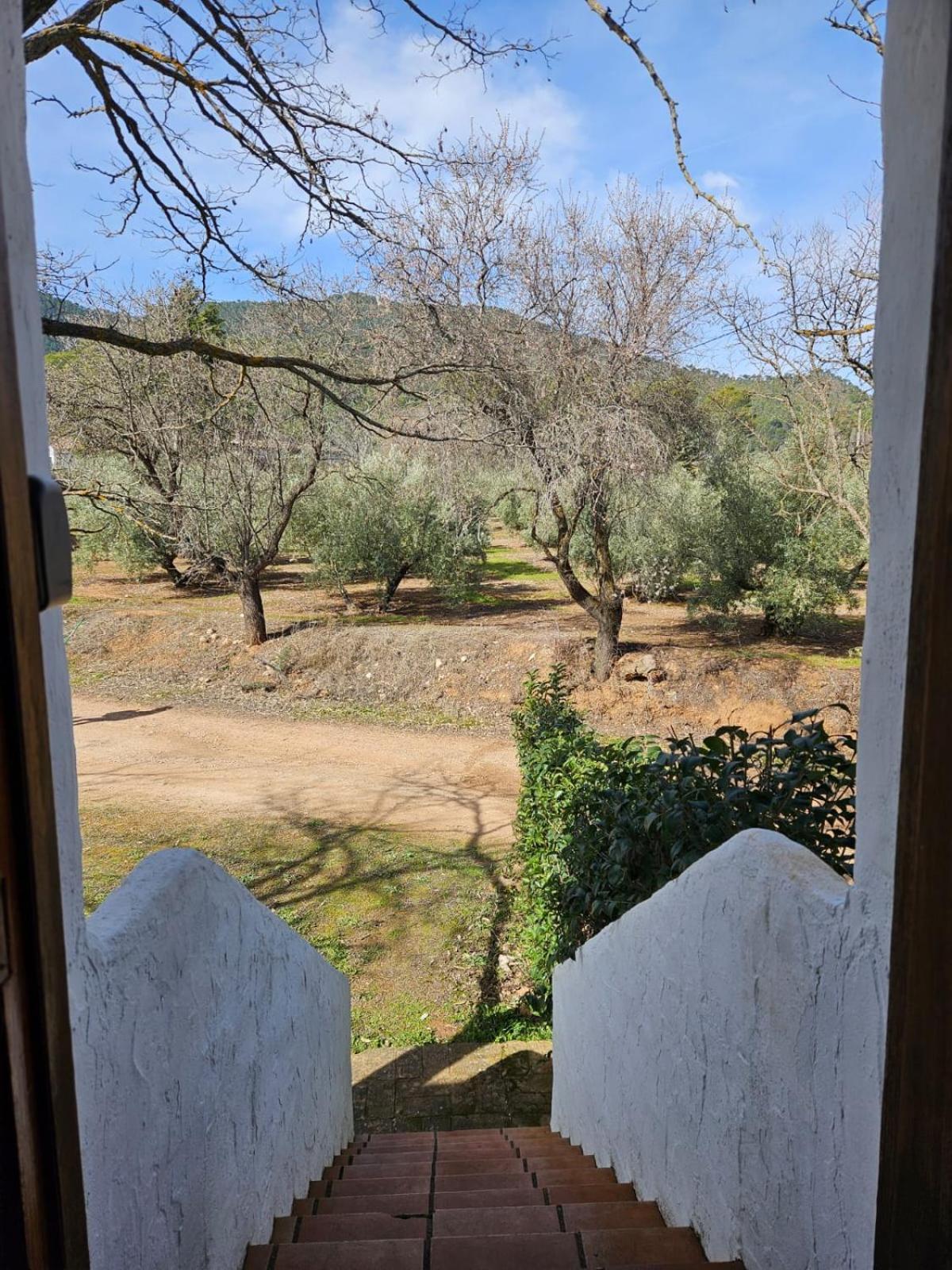 Hotel Cortijo Del Cura By Travel