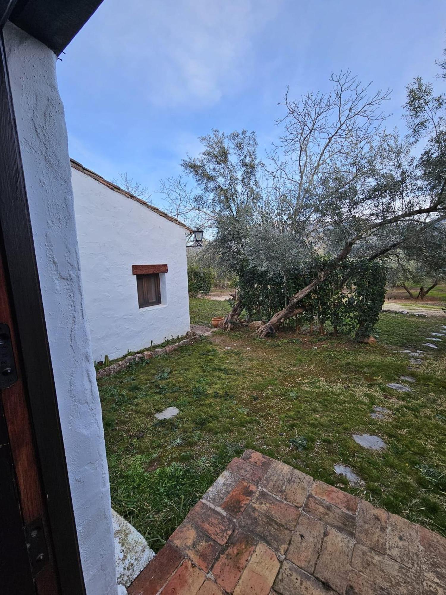 Cortijo Del Cura By Travel *