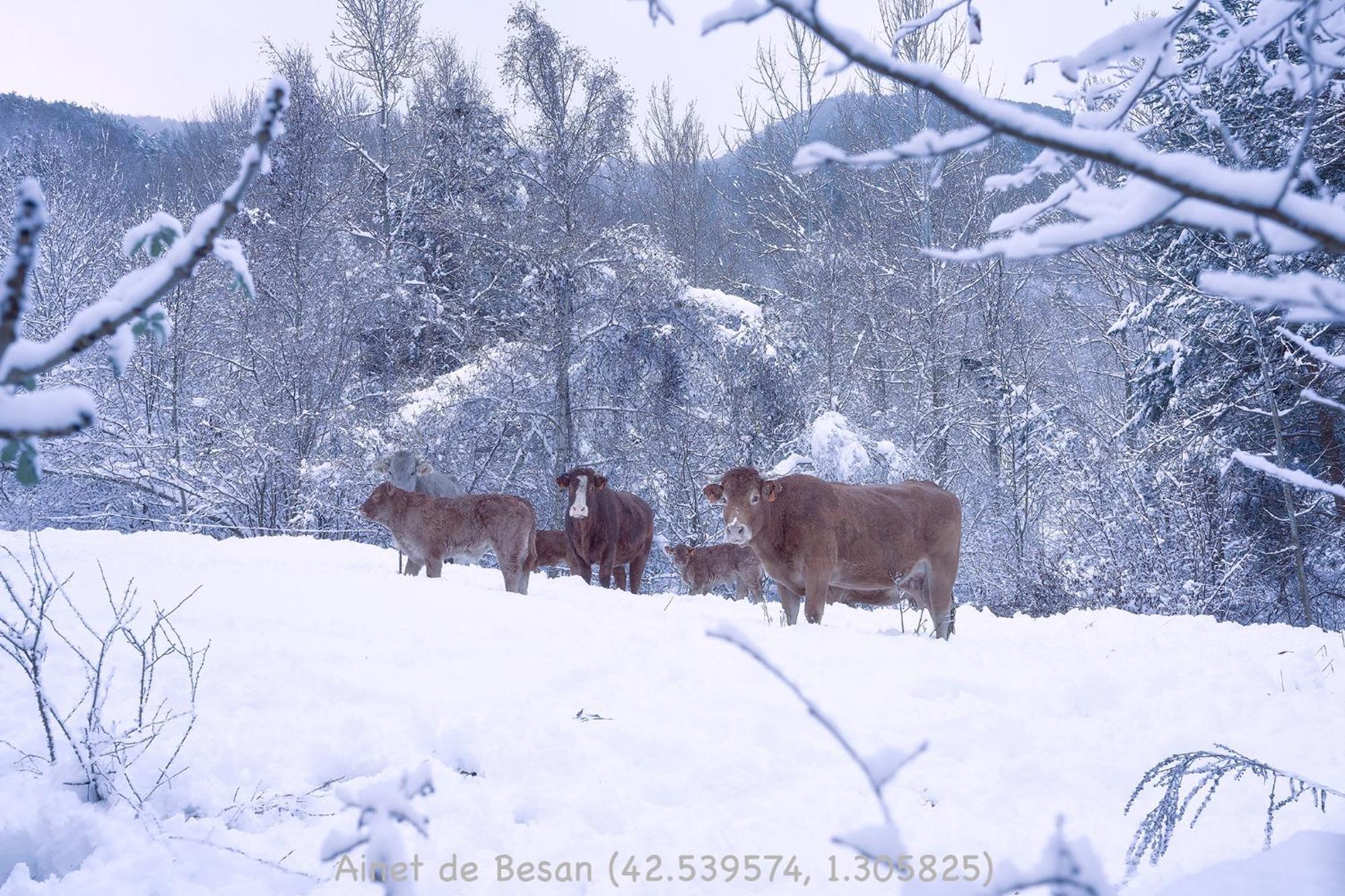 Ainet Rural Mountain * Ainet de Besan