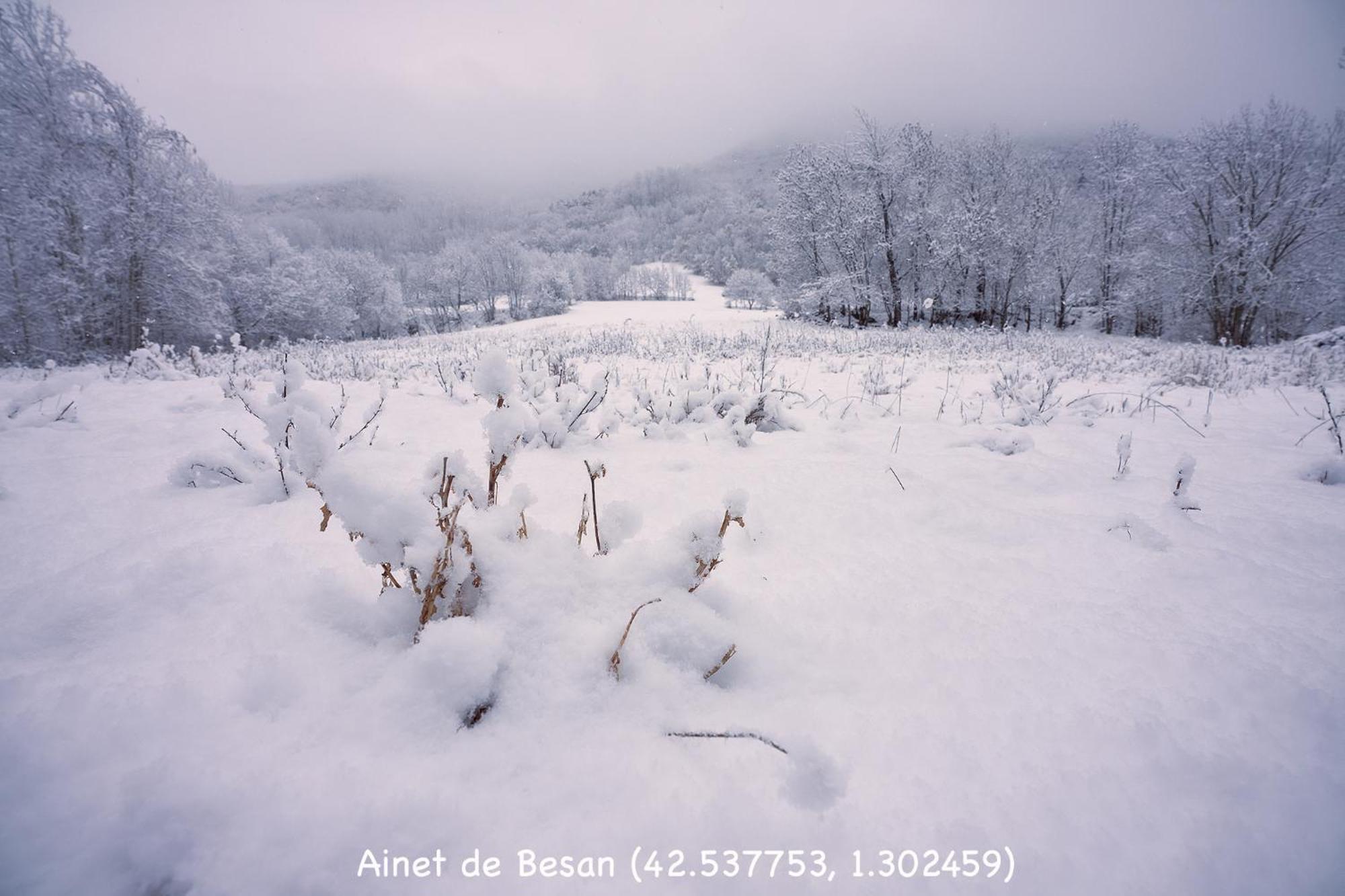 Apartamento Ainet Rural Mountain