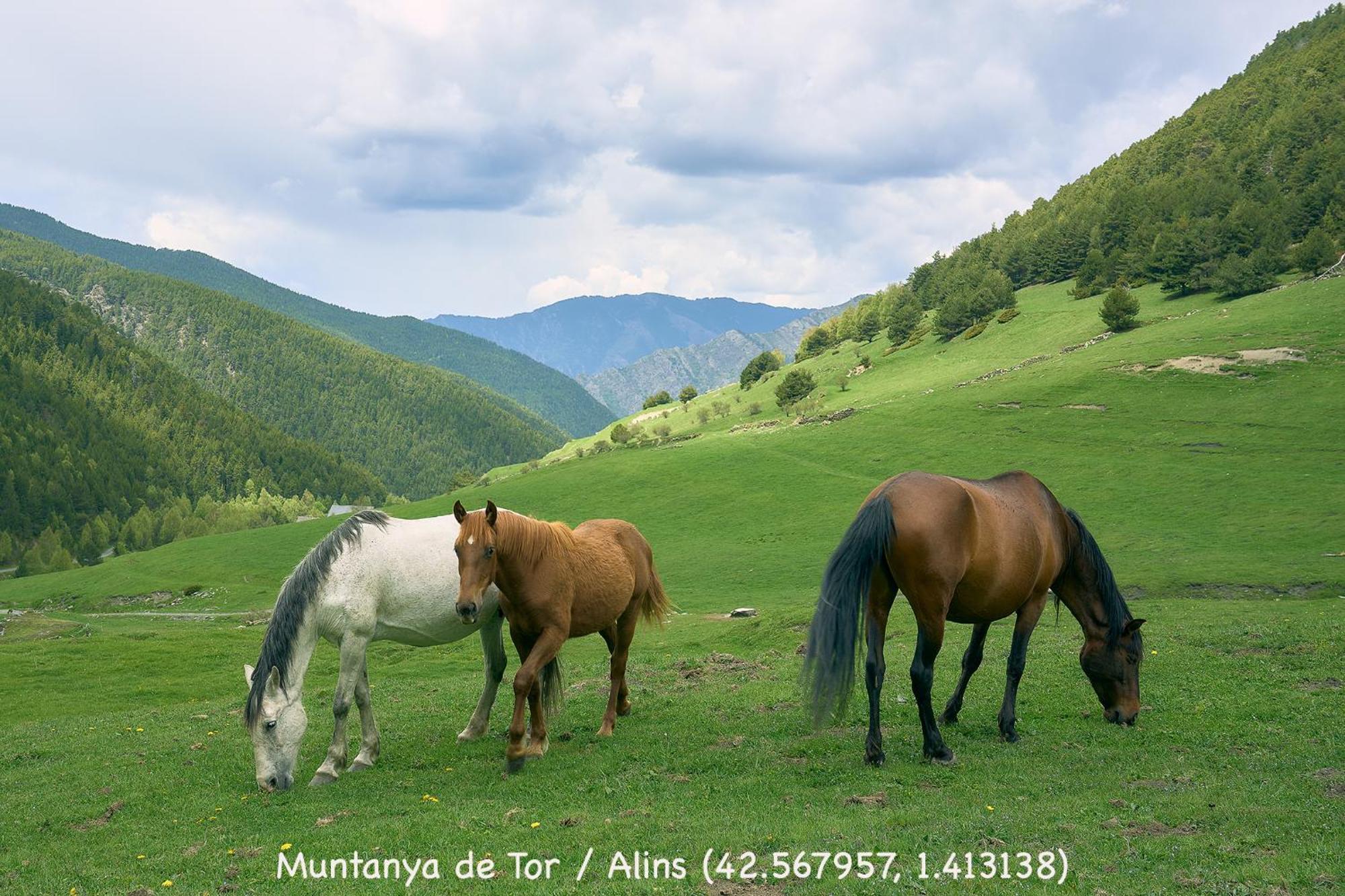 Ainet Rural Mountain Apartamento *