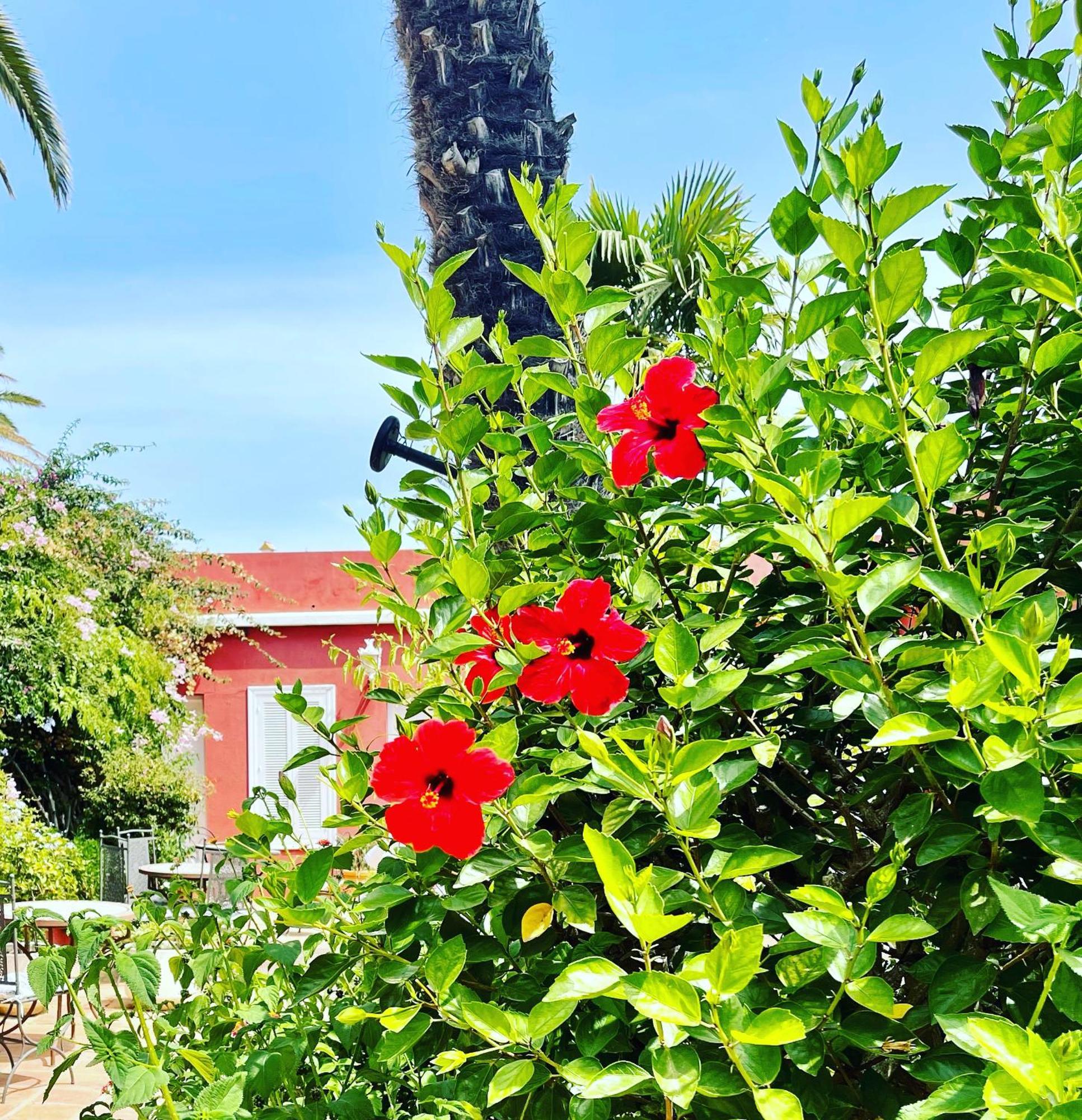 La Peña Hotel *