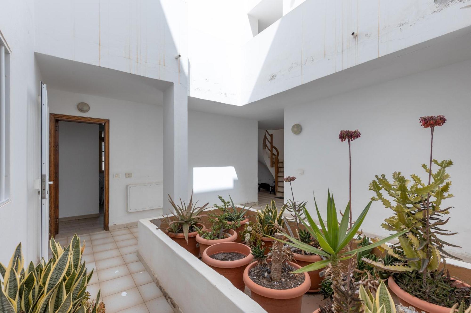Apartamento Bright Corralejo