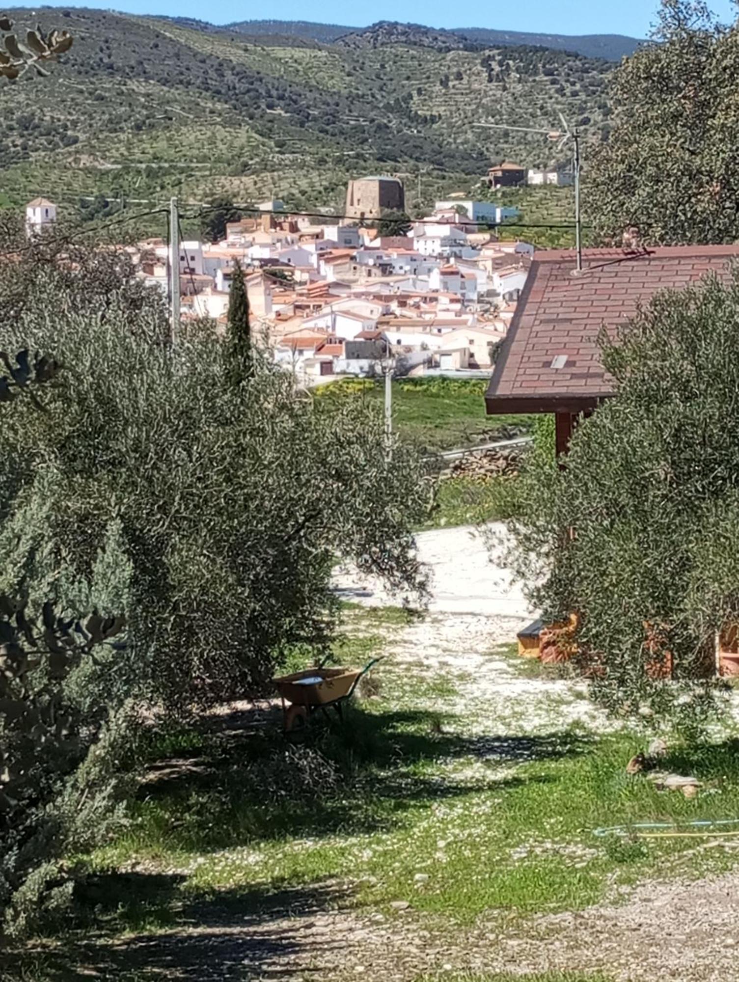 Holiday home Casa La Colina Mandarina Ii Casa De Madera *