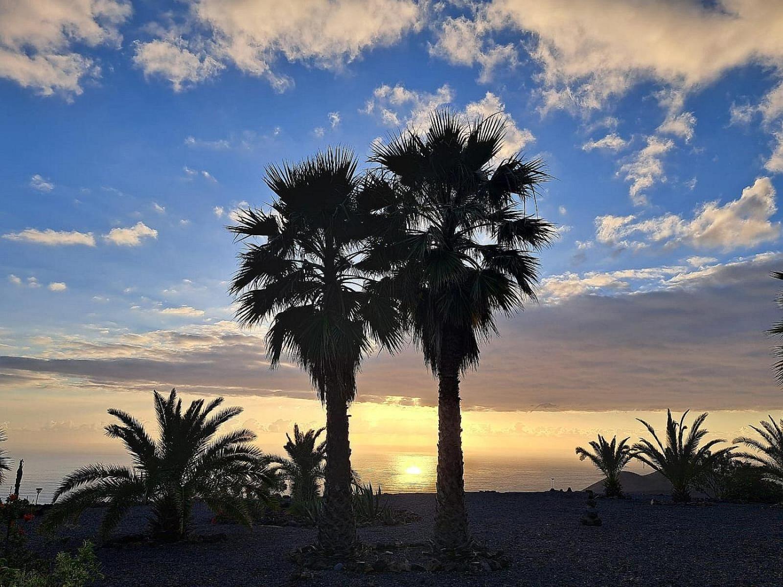 Fenia Apartamento Las Manchas (La Palma)