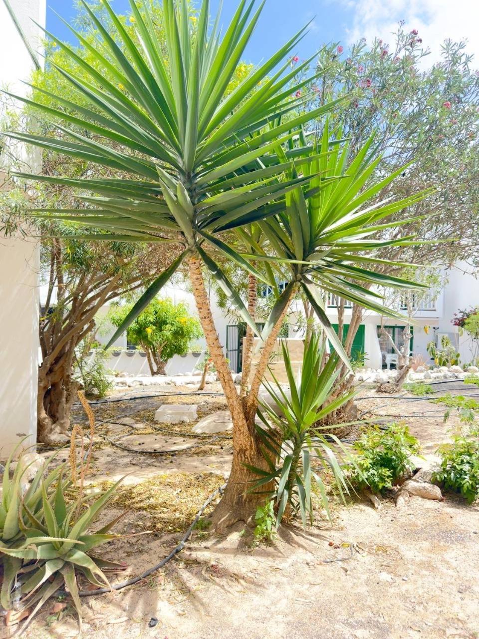Apartamento Casita Alma Zen *