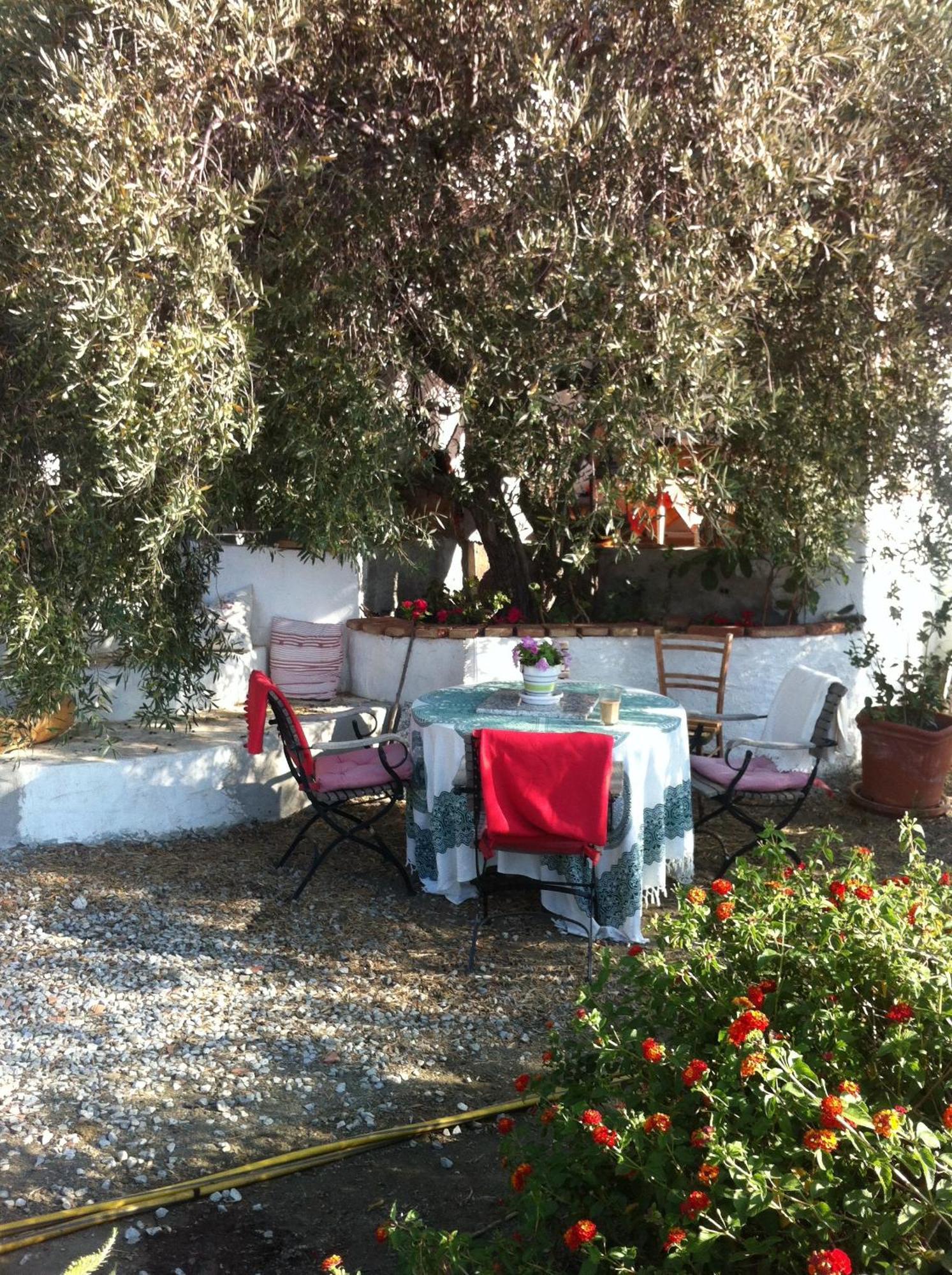 Habitación en casa particular Casa Petra Canillas de Aceituno