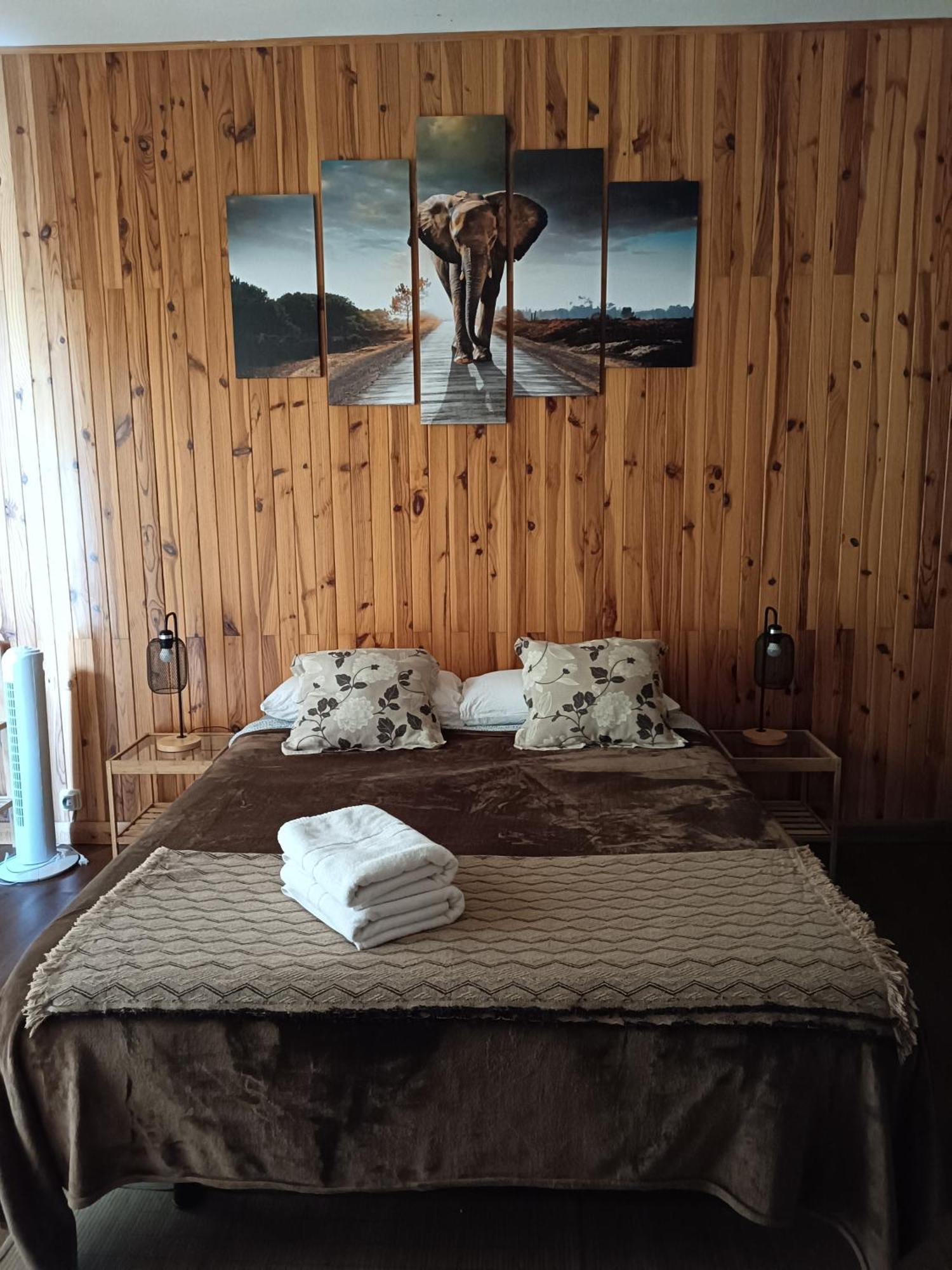 Tenerife Dreams Coffee&bed *