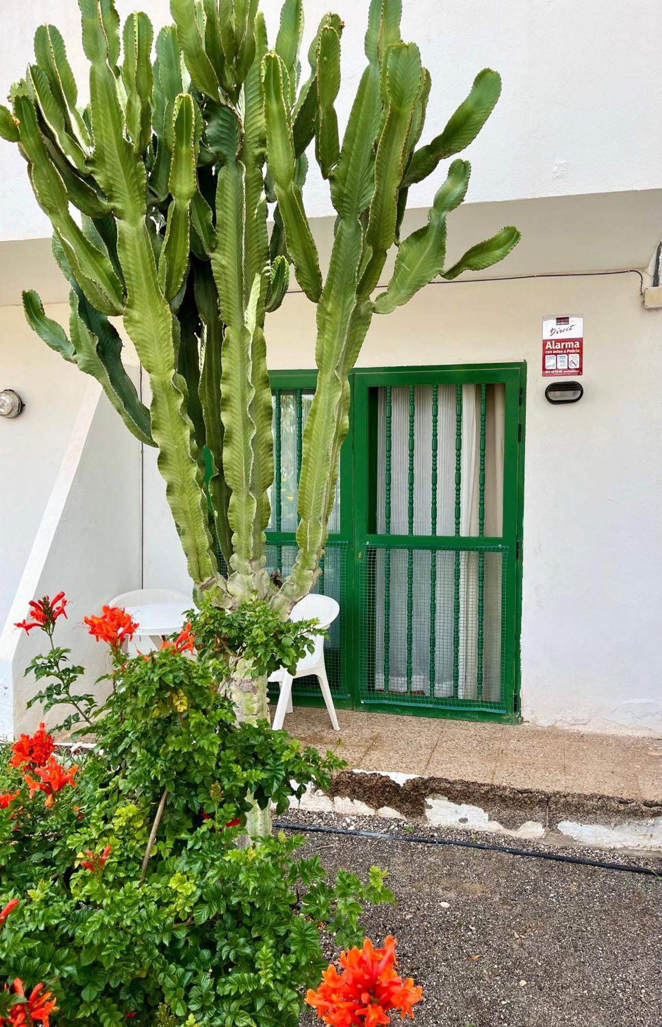 Casita Alma Zen * Costa De Antigua