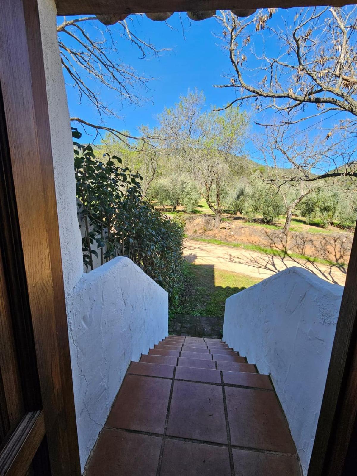 Cortijo Del Cura By Travel