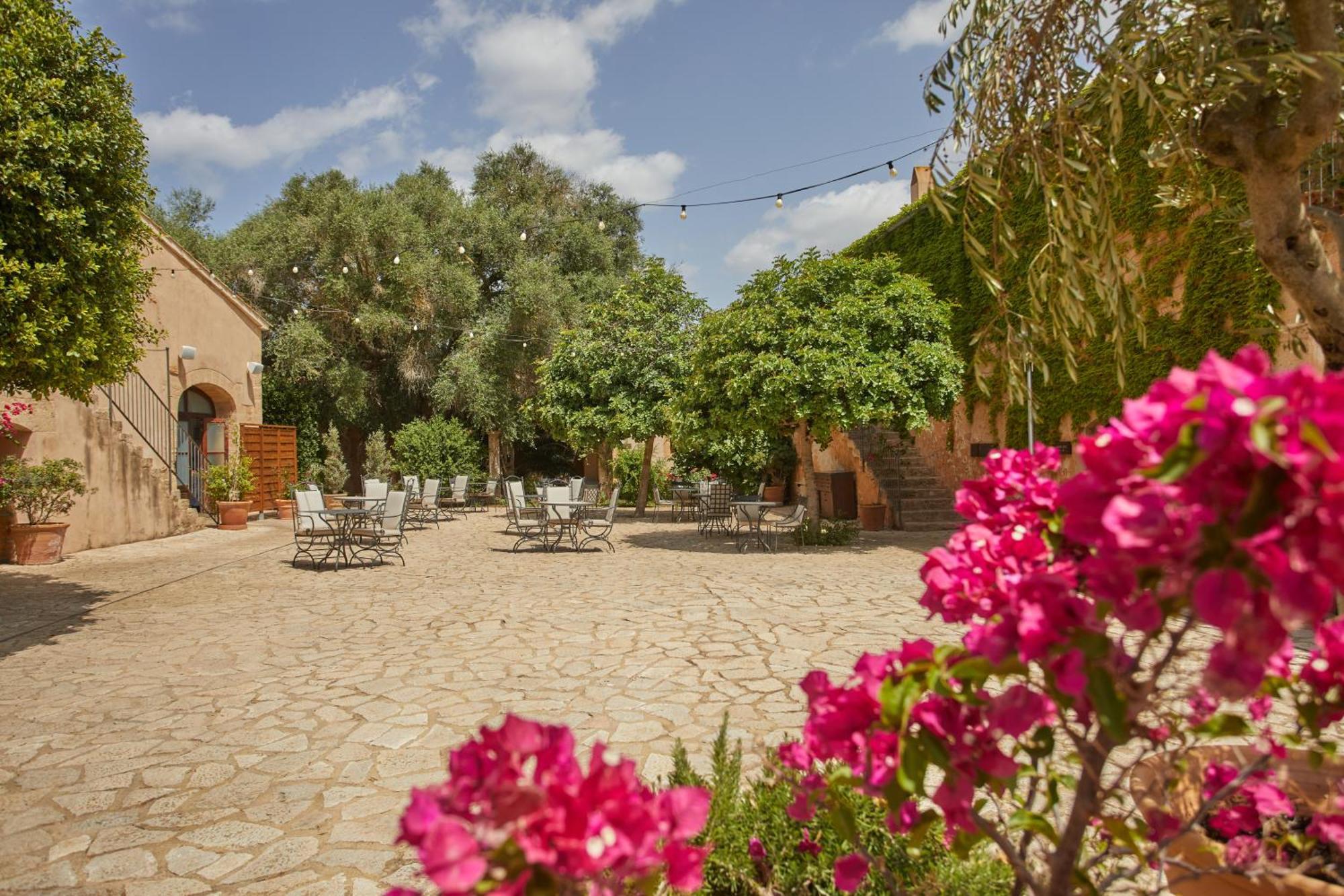 Zoetry Mallorca Wellness & (adults Only) 5*