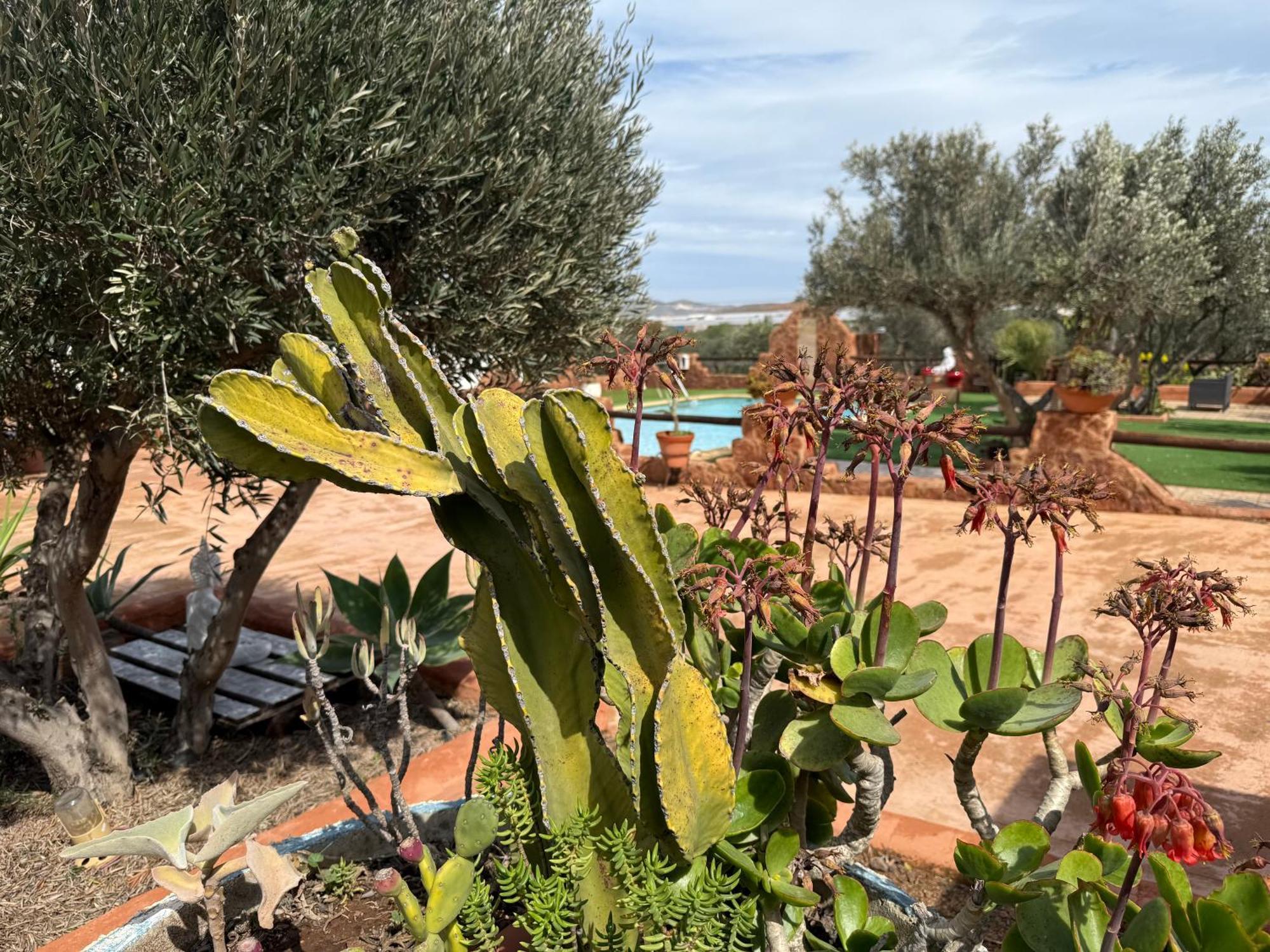 Olivares Rural Apartamento