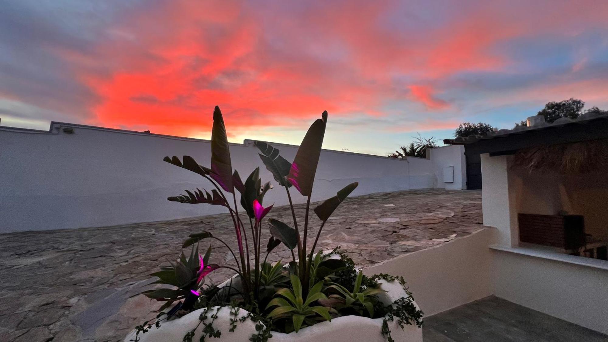 Aparthotel Kiwidestiny Alicante San Juan (Alicante)