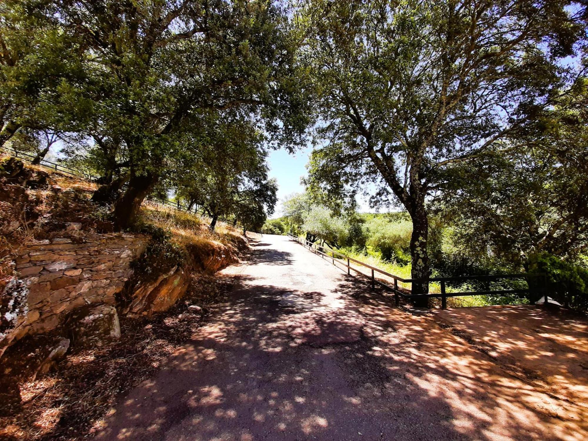 Holiday home Gurumelo Aracena