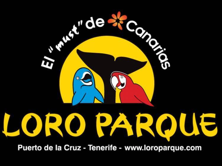 Apartamento Sunset Cortes & Castro - Roques *