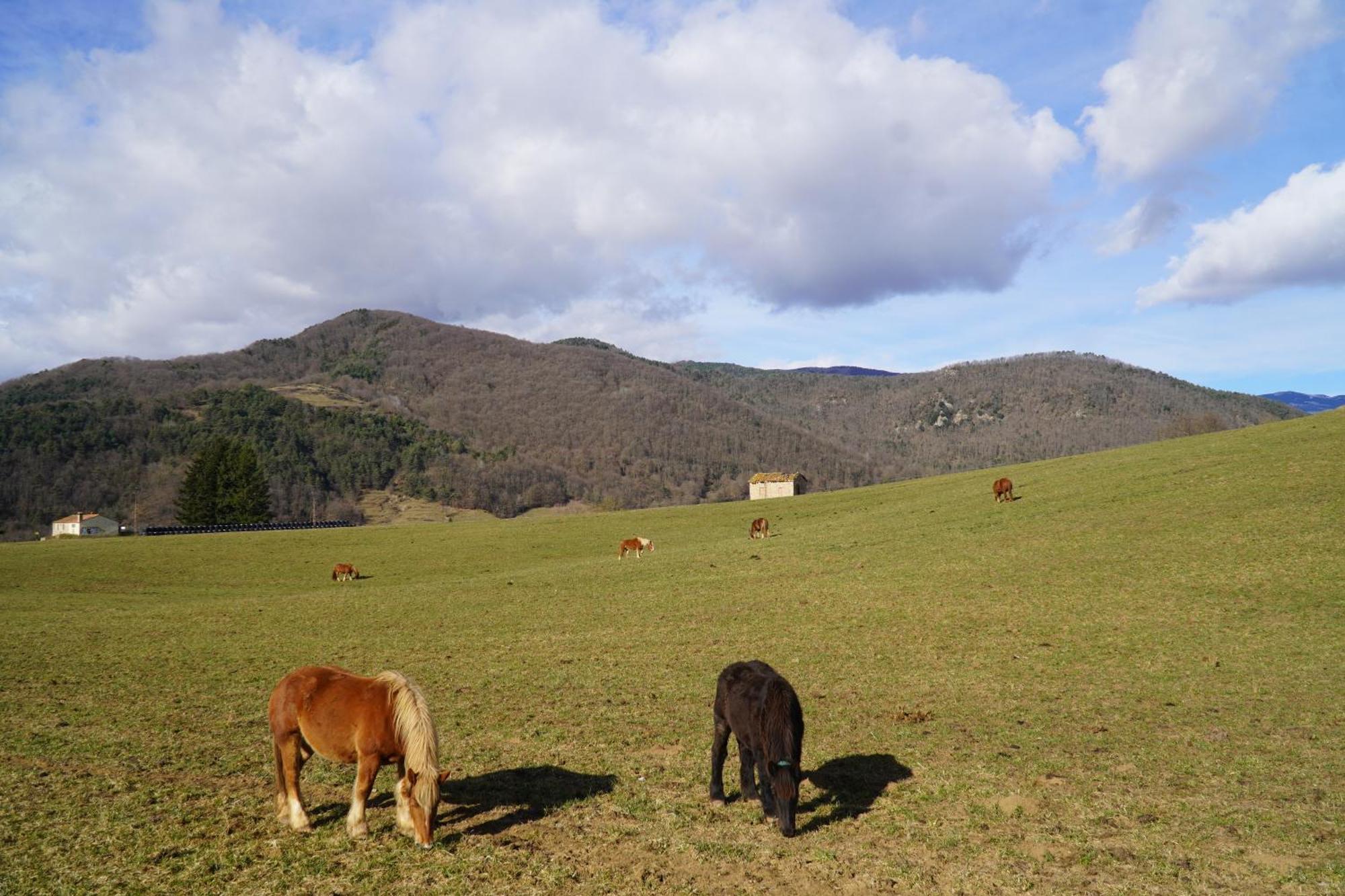 Cal Harrys - La Mejor Casa De Vacaciones En Pyrenees Con Vistas A La Montana * Sant Pau de Segúries