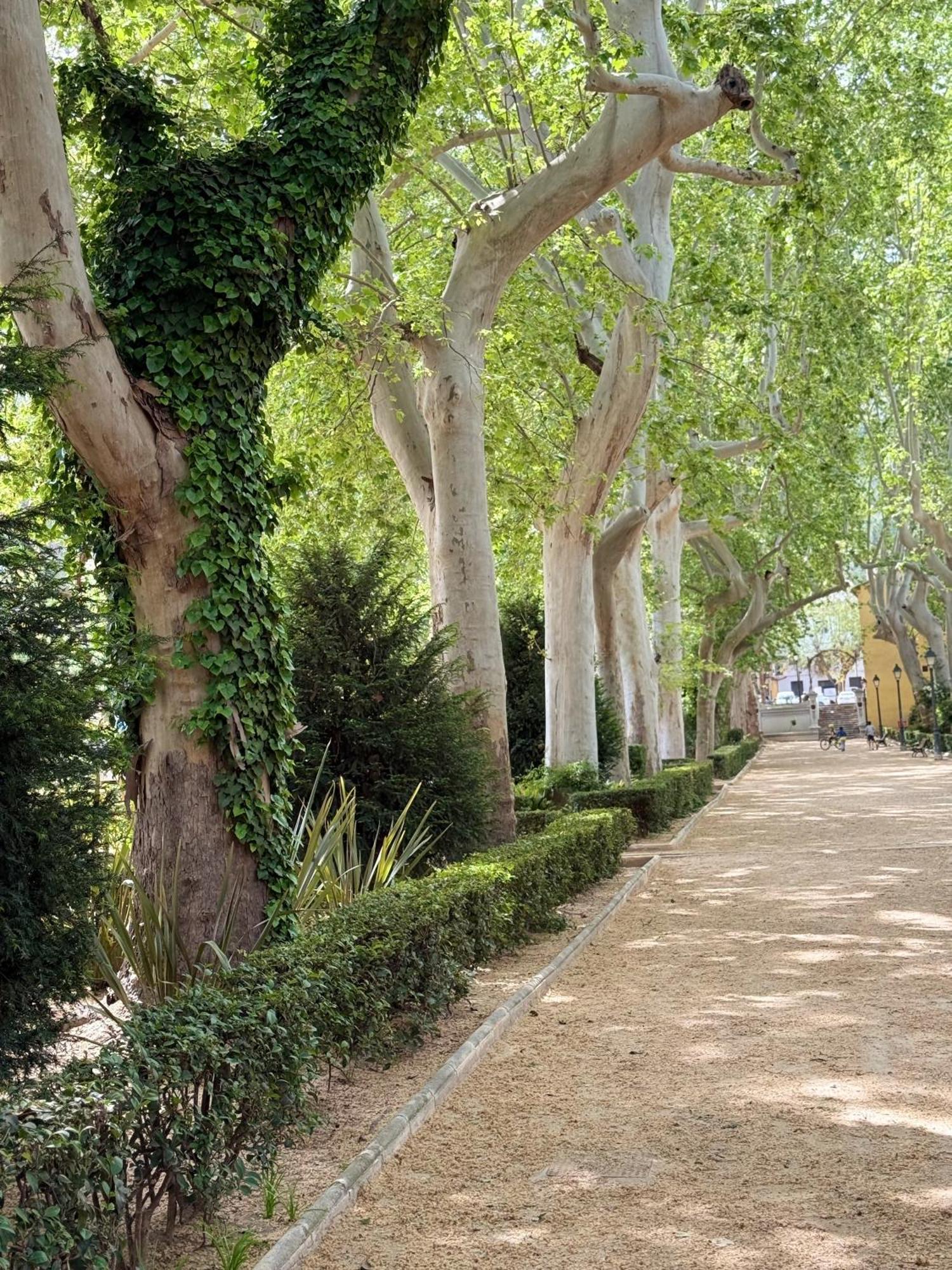 Casa Rosetta Boutique * Xàtiva (Játiva)